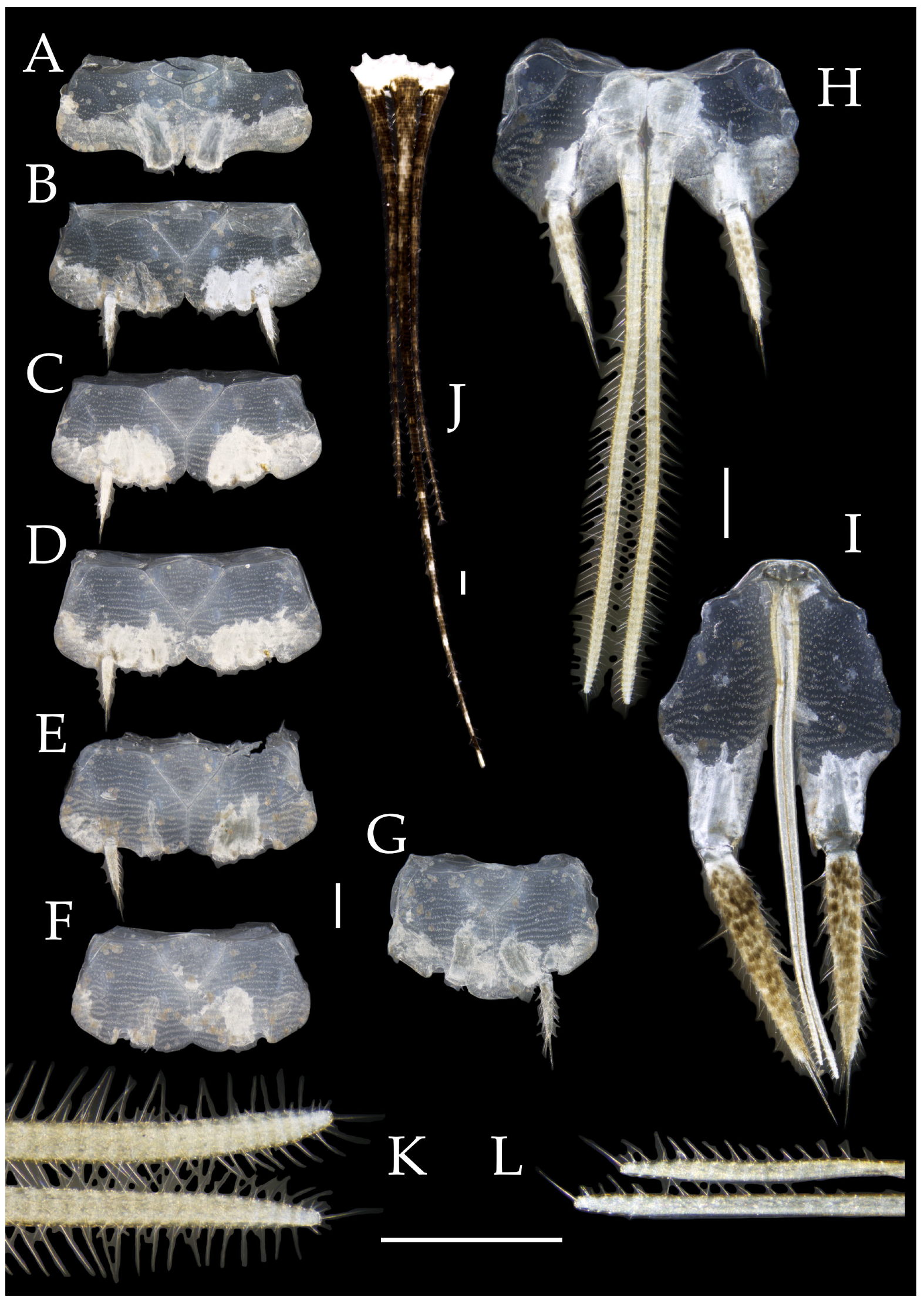 Insects 16 00916 g027
