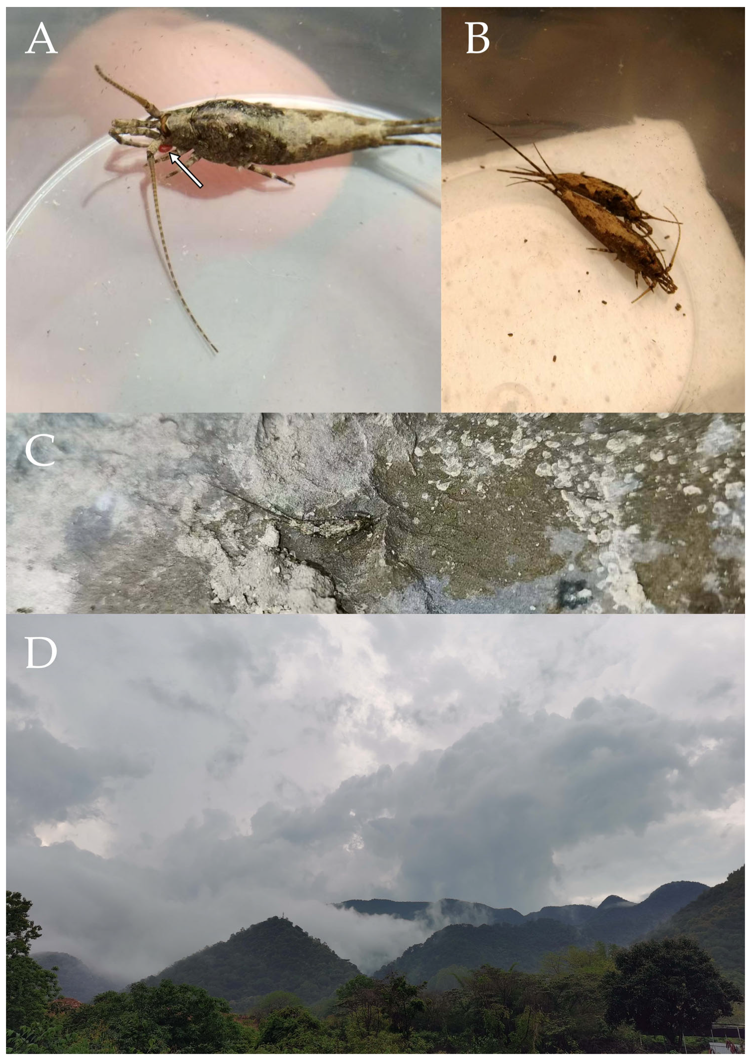 Insects 16 00916 g028