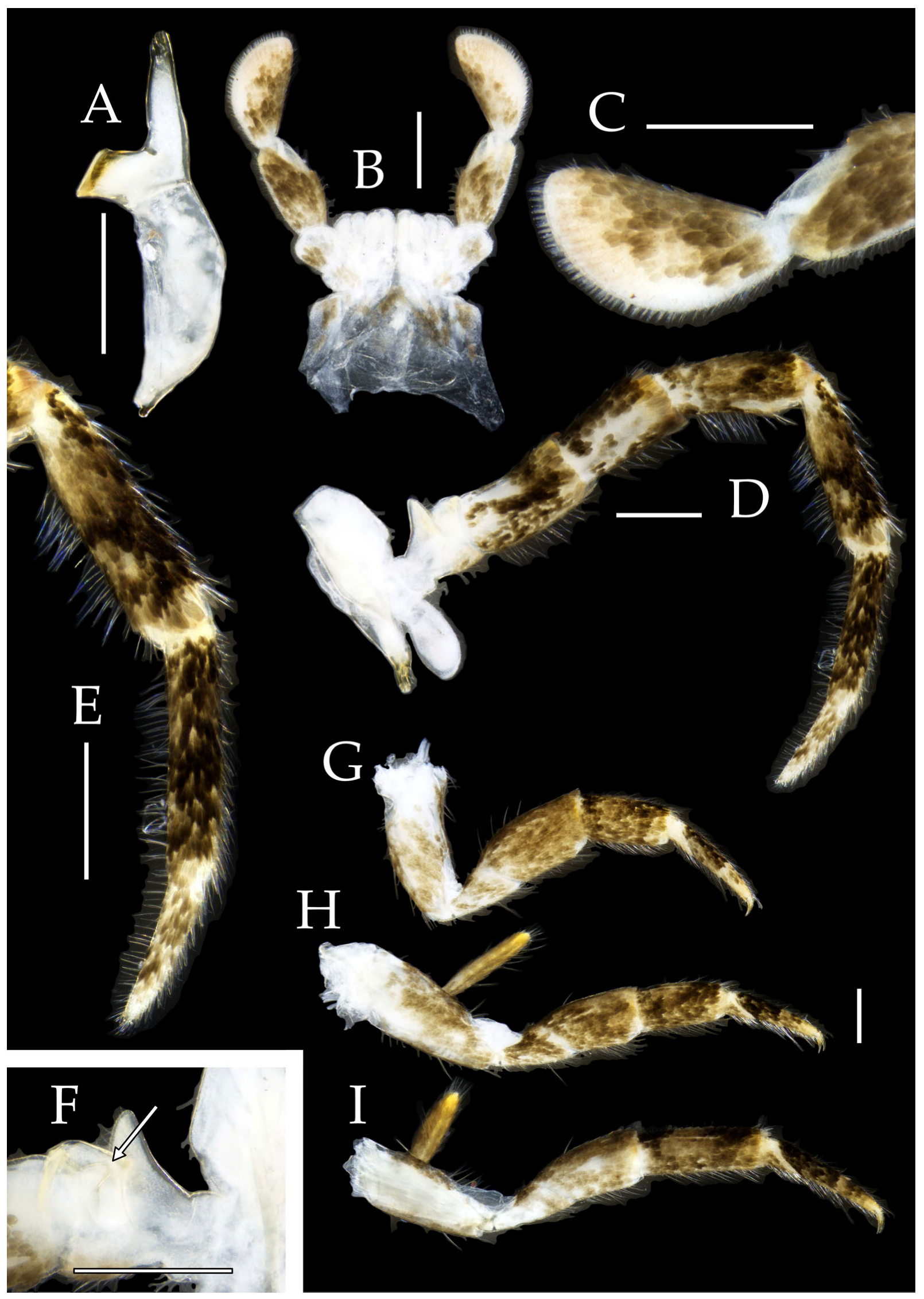 Insects 16 00916 g030