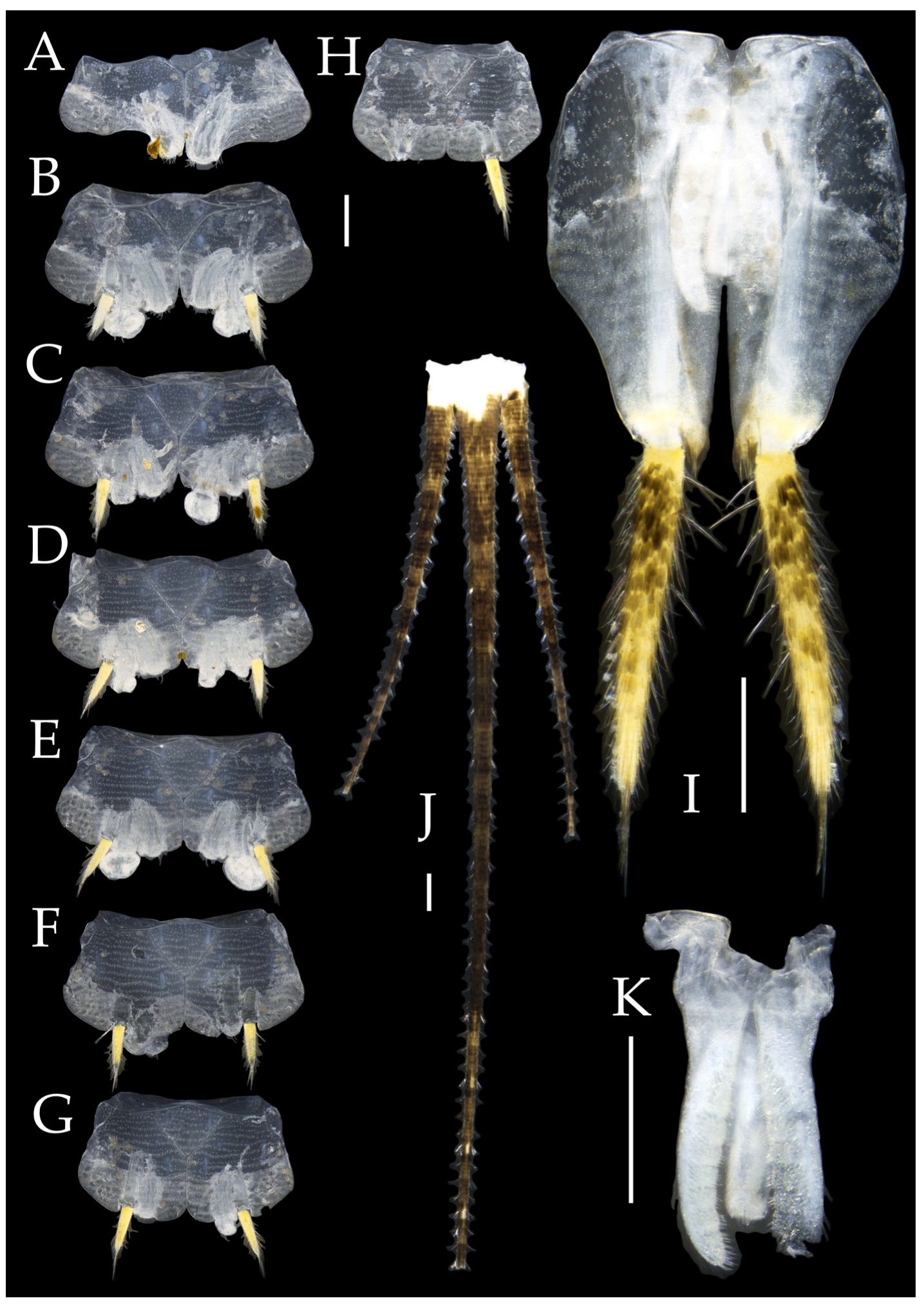 Insects 16 00916 g031