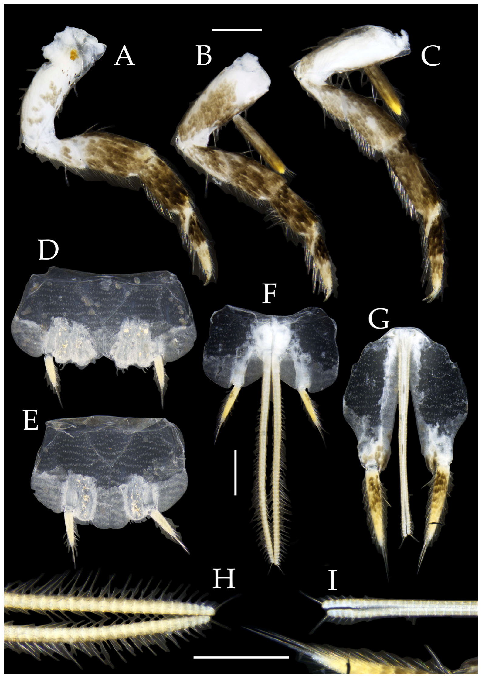 Insects 16 00916 g033