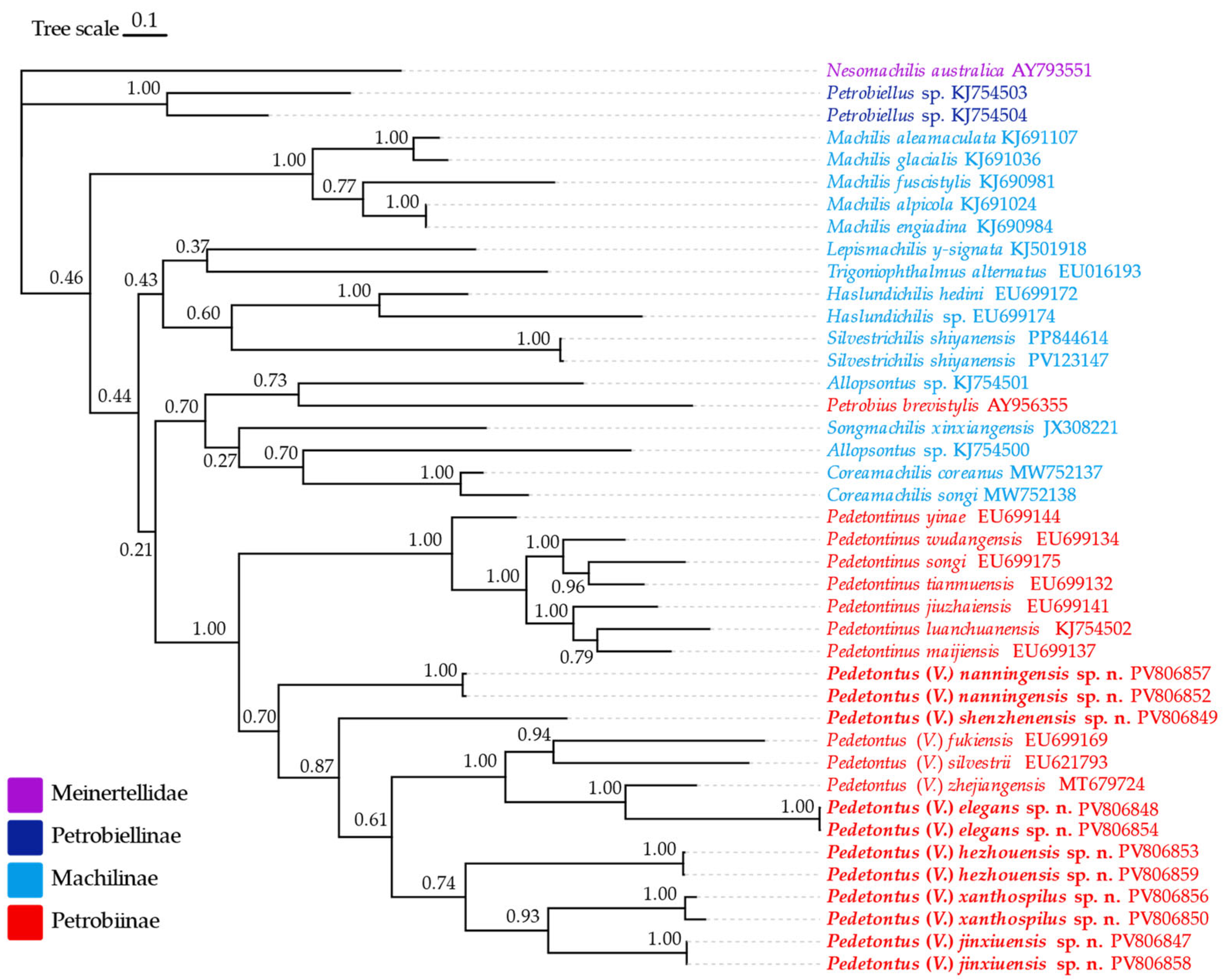 Insects 16 00916 g034