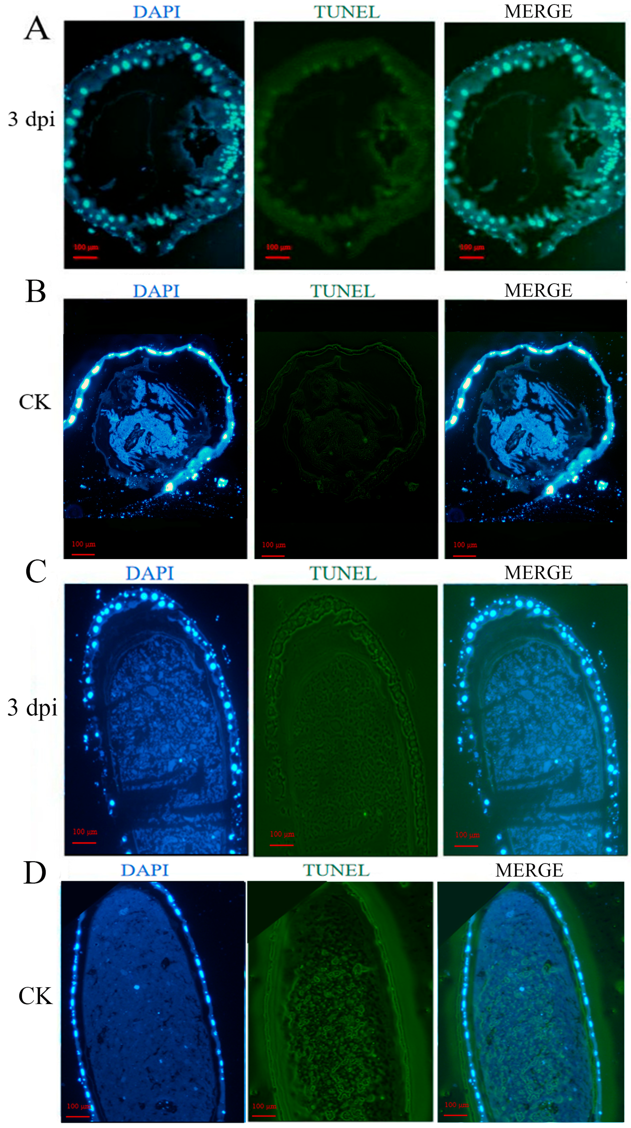 Insects 16 00925 g002