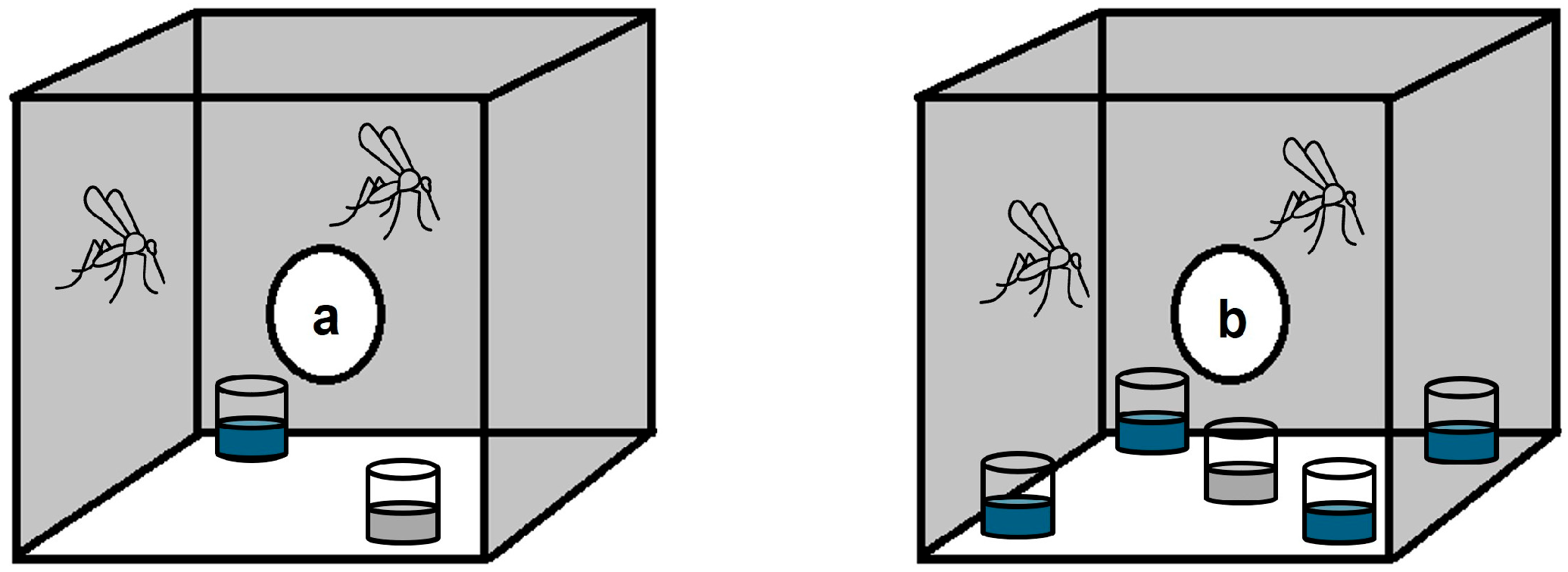 Insects 16 00928 g001 Insects 16 00928 g001