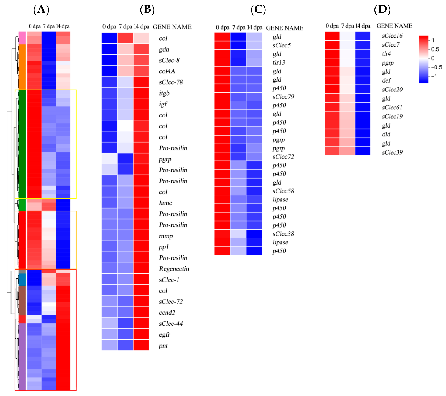 Insects 16 00934 g005 Insects 16 00934 g005