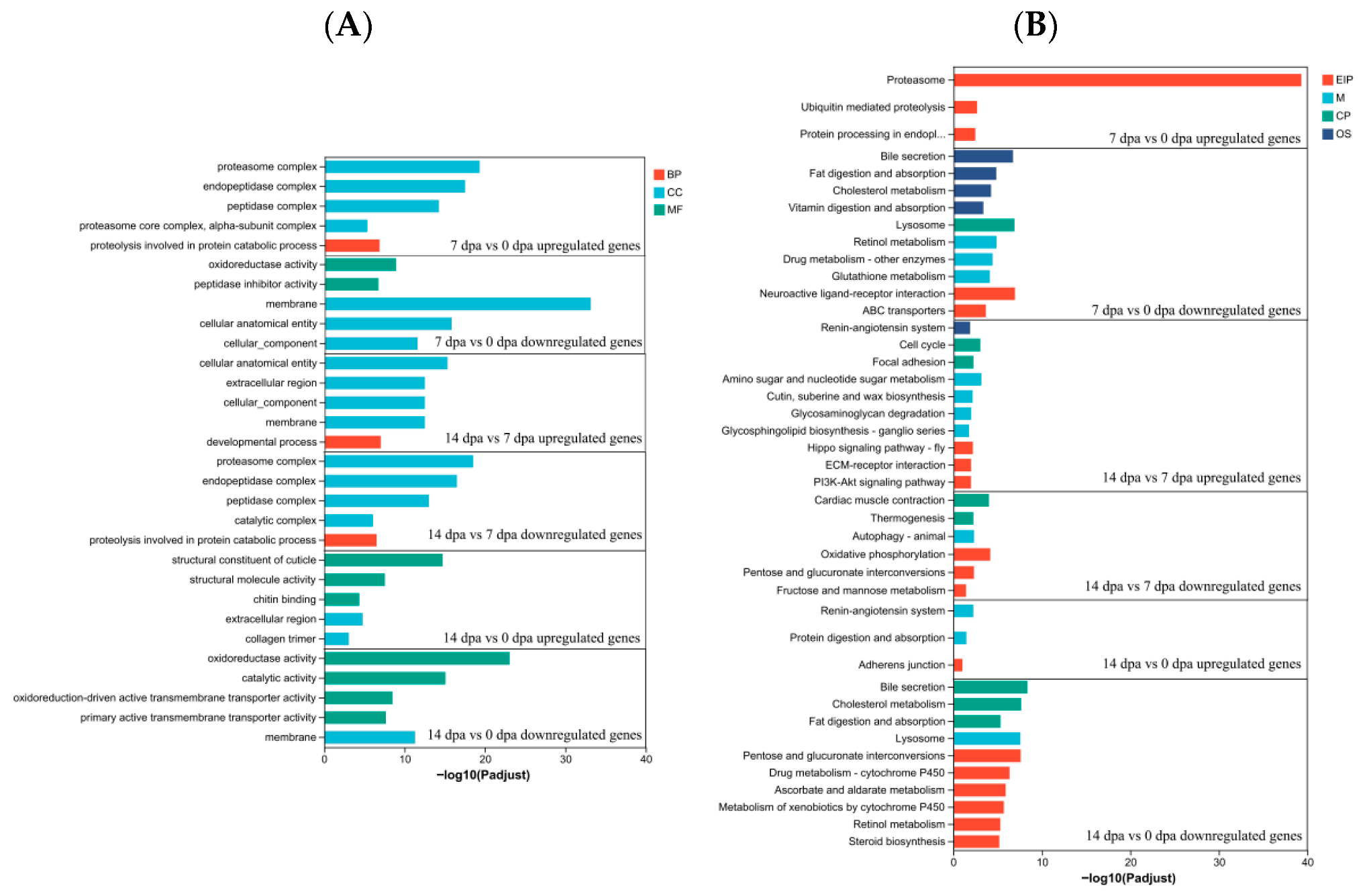 Insects 16 00934 g006 Insects 16 00934 g006