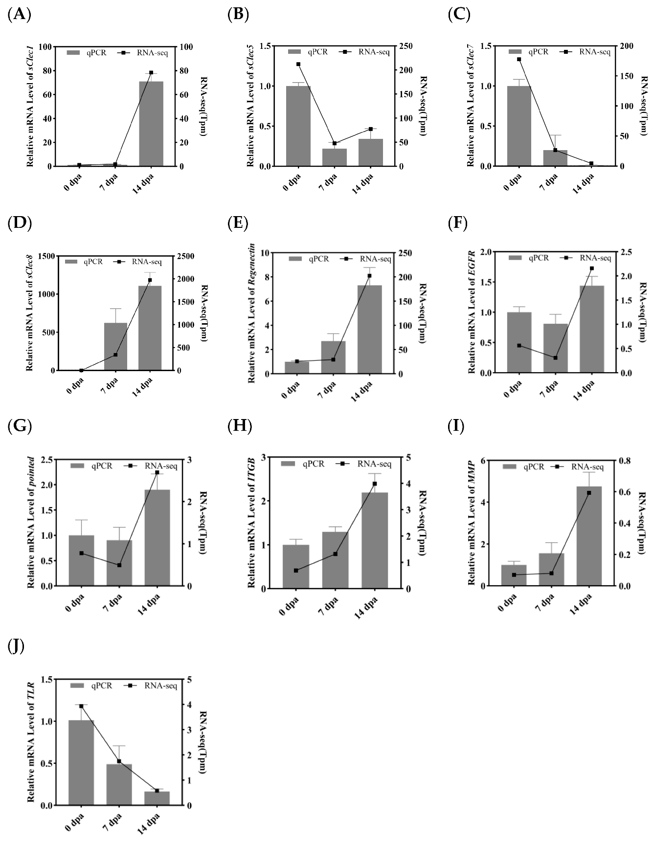 Insects 16 00934 g007 Insects 16 00934 g007