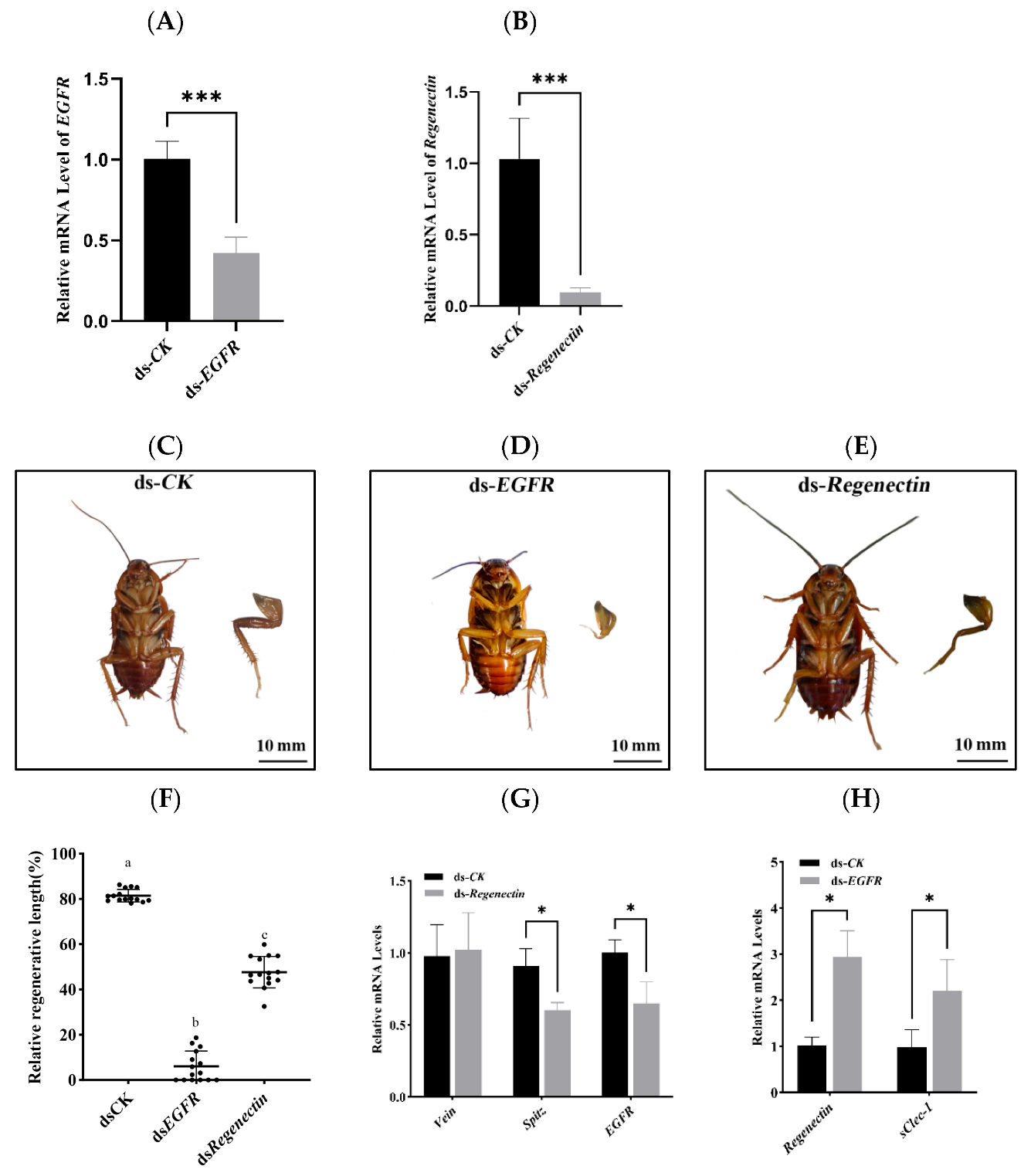 Insects 16 00934 g008 Insects 16 00934 g008