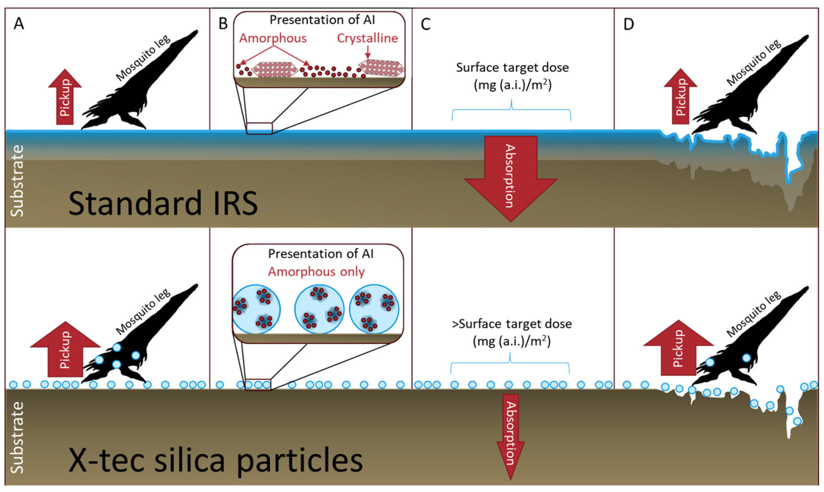 Insects 16 00937 g001