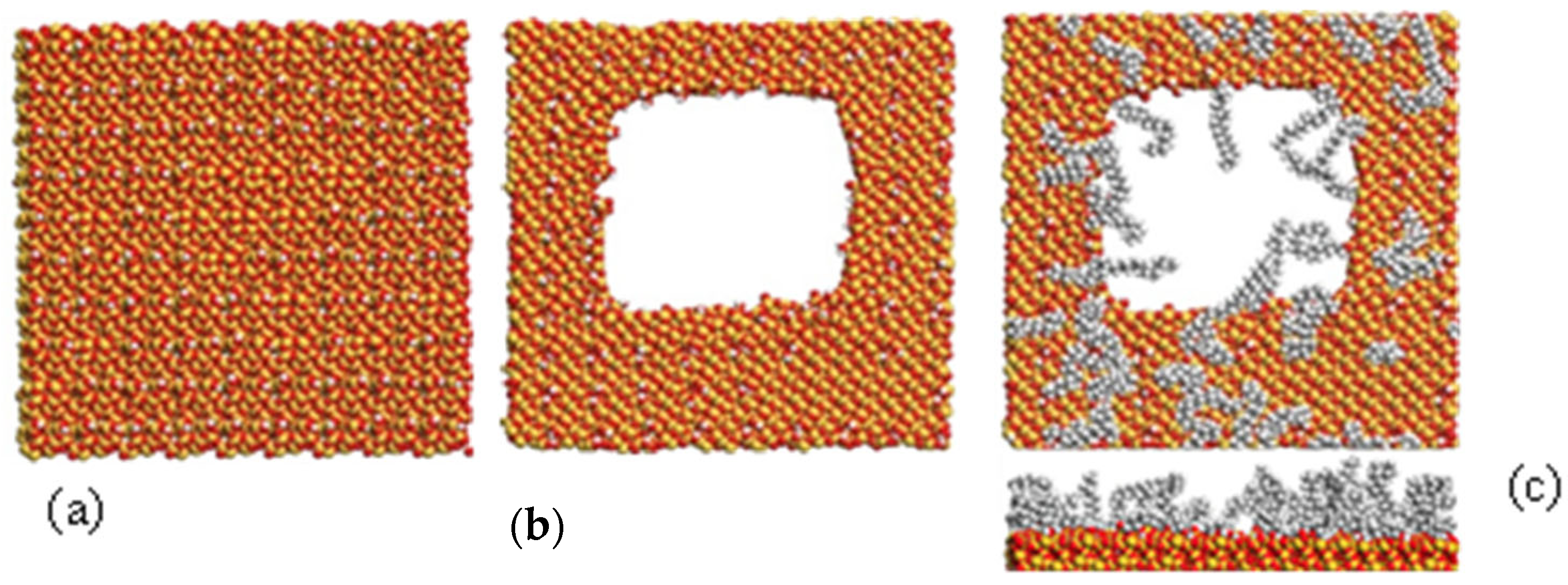 Insects 16 00937 g002