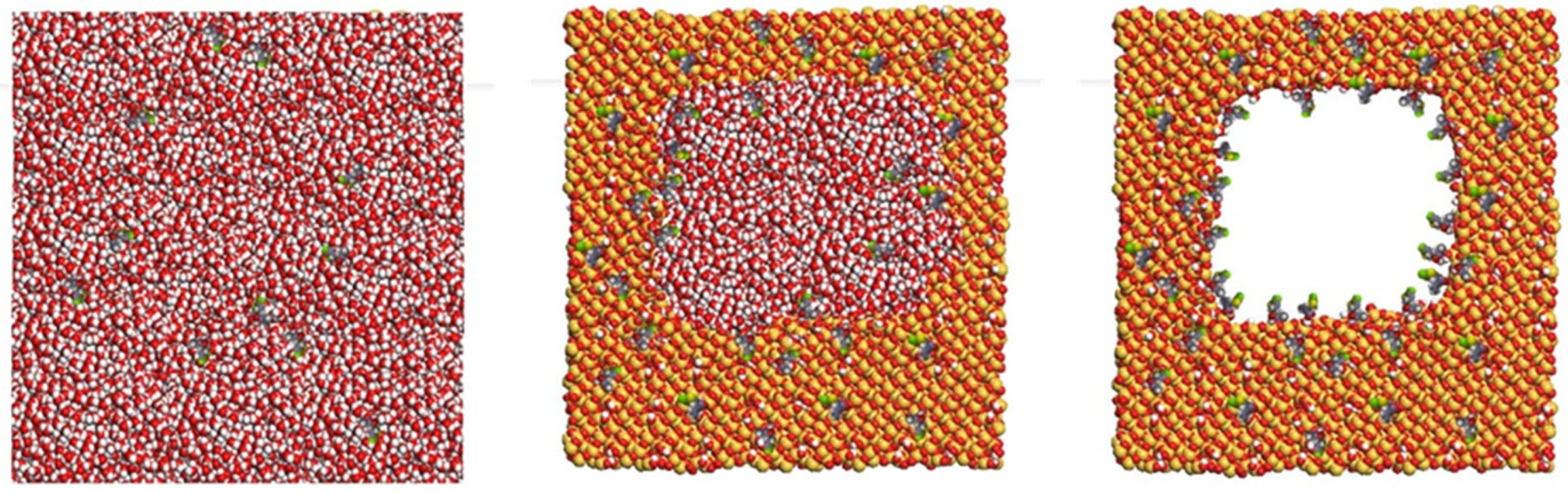 Insects 16 00937 g003