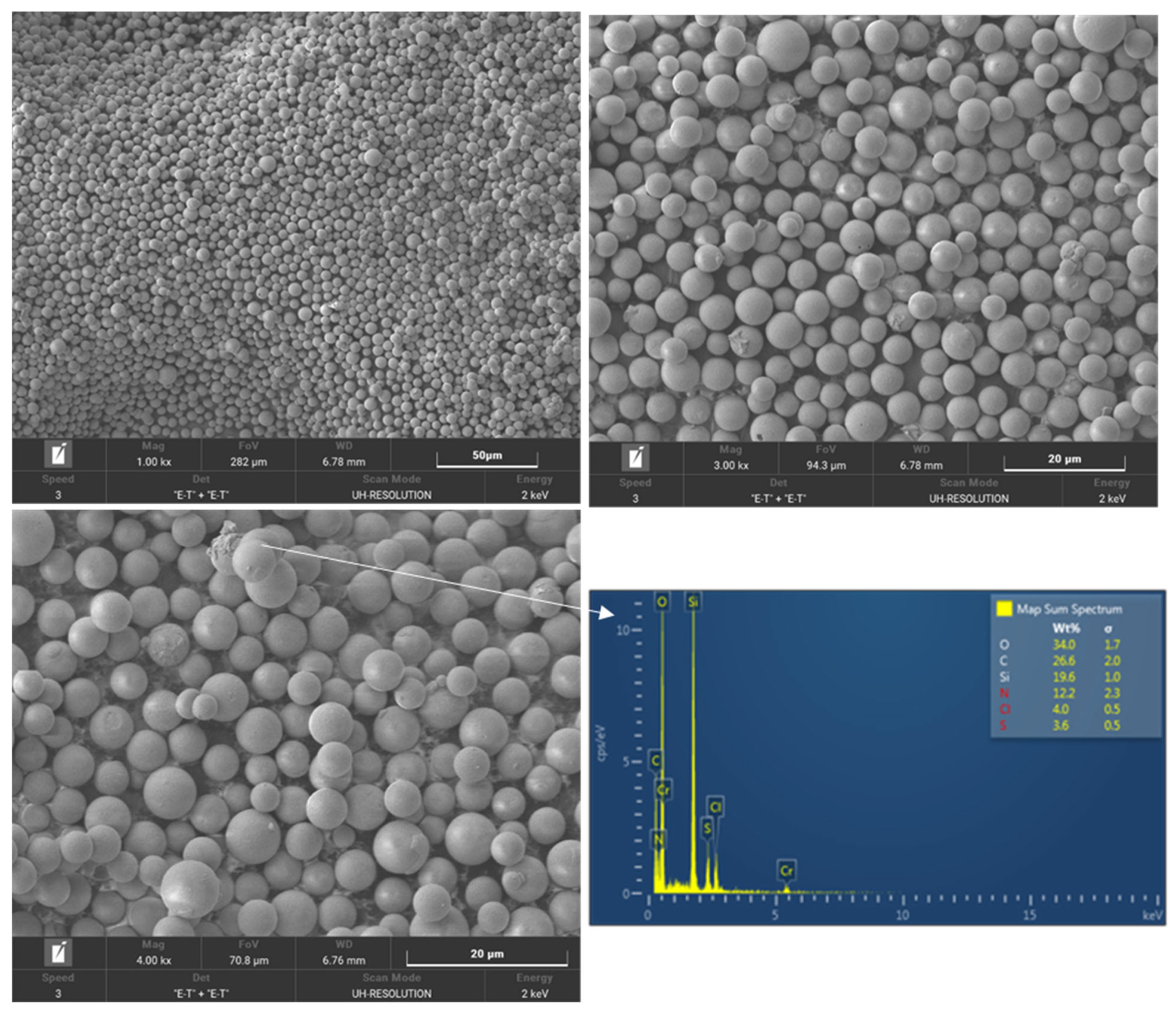 Insects 16 00937 g004