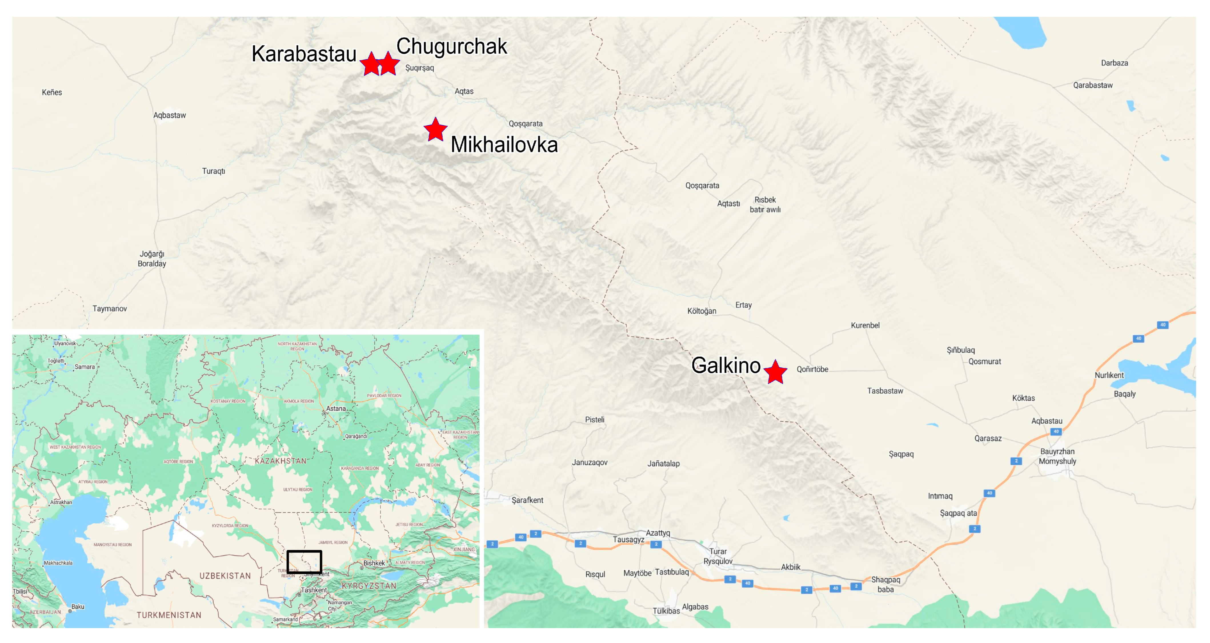 Insects 16 00943 g002