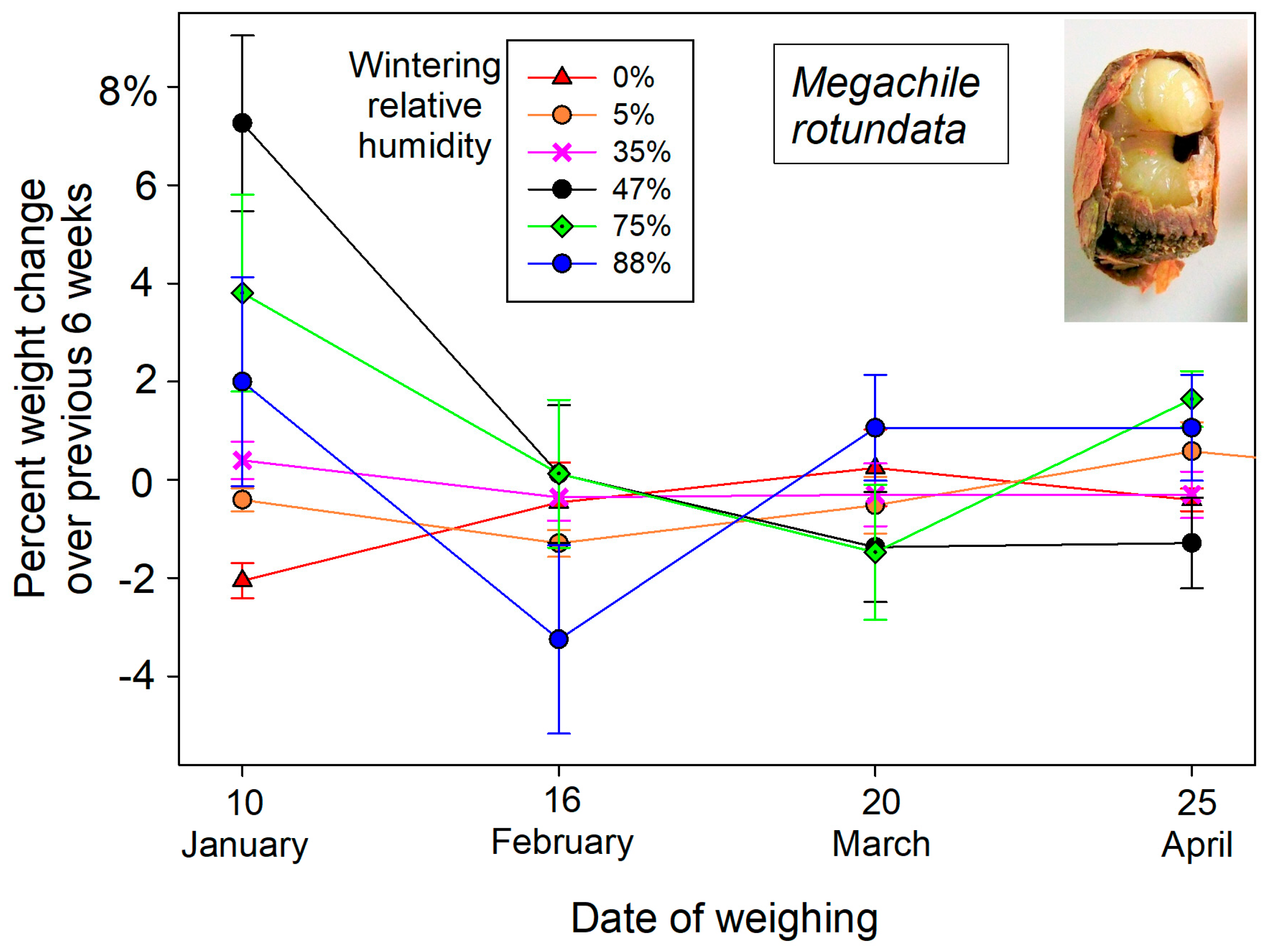 Insects 16 00946 g002