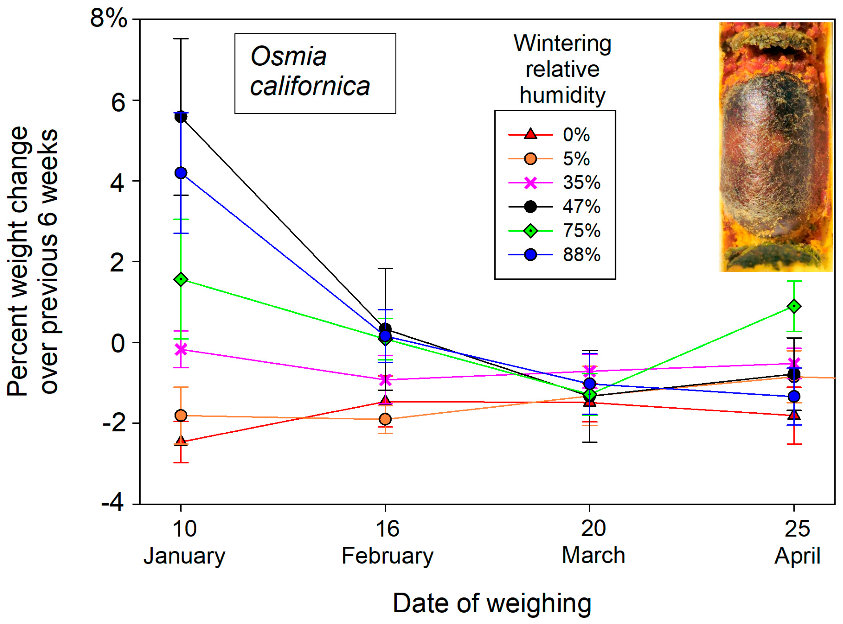 Insects 16 00946 g003