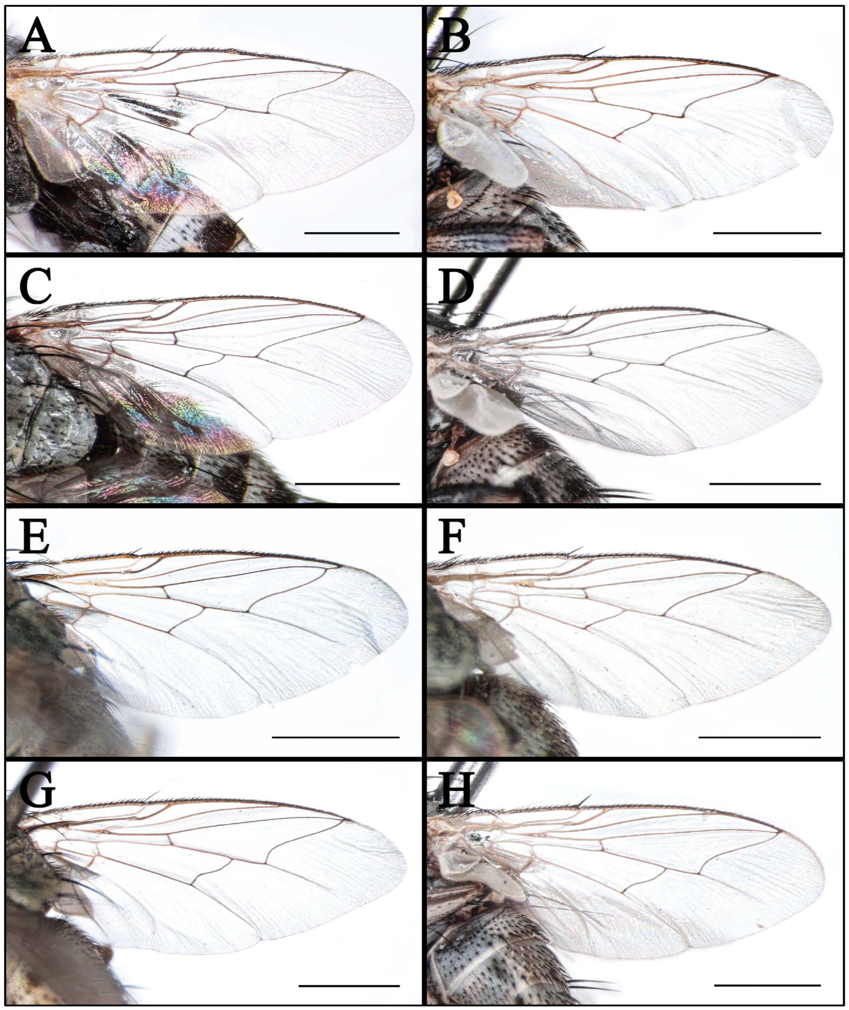 Insects 16 00953 g006 Insects 16 00953 g006