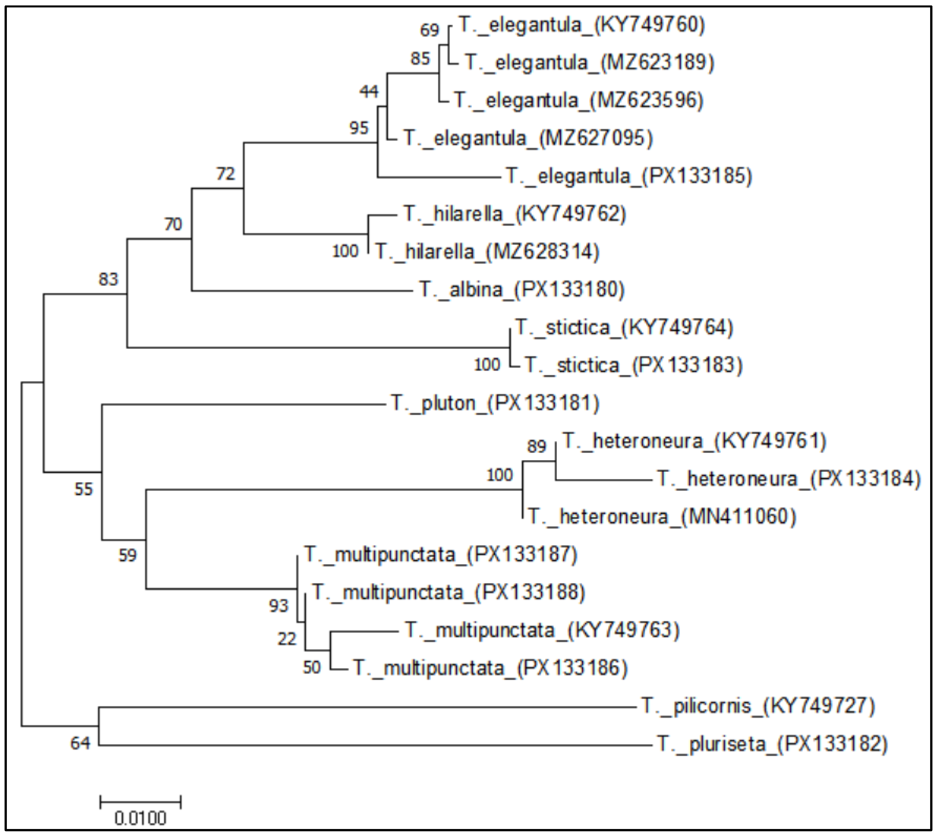 Insects 16 00953 g011 Insects 16 00953 g011