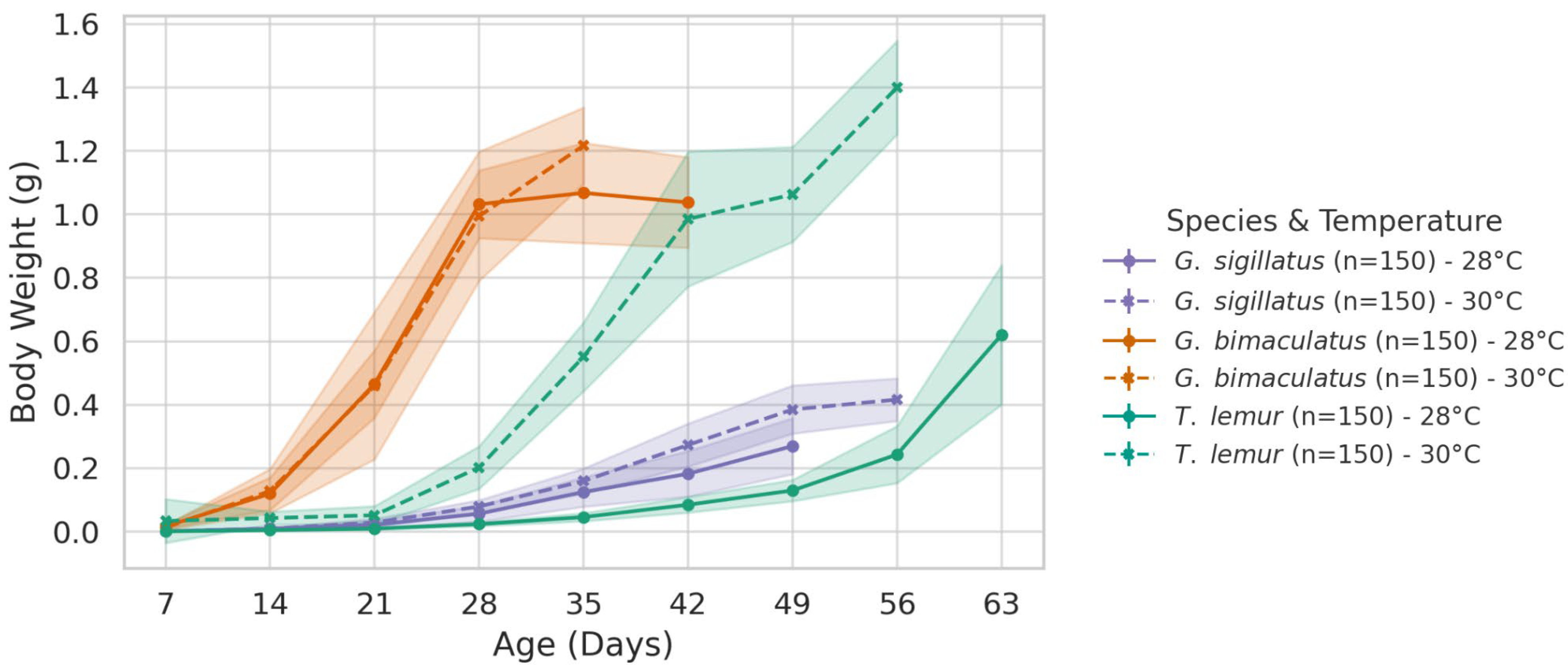 Insects 16 00960 g002