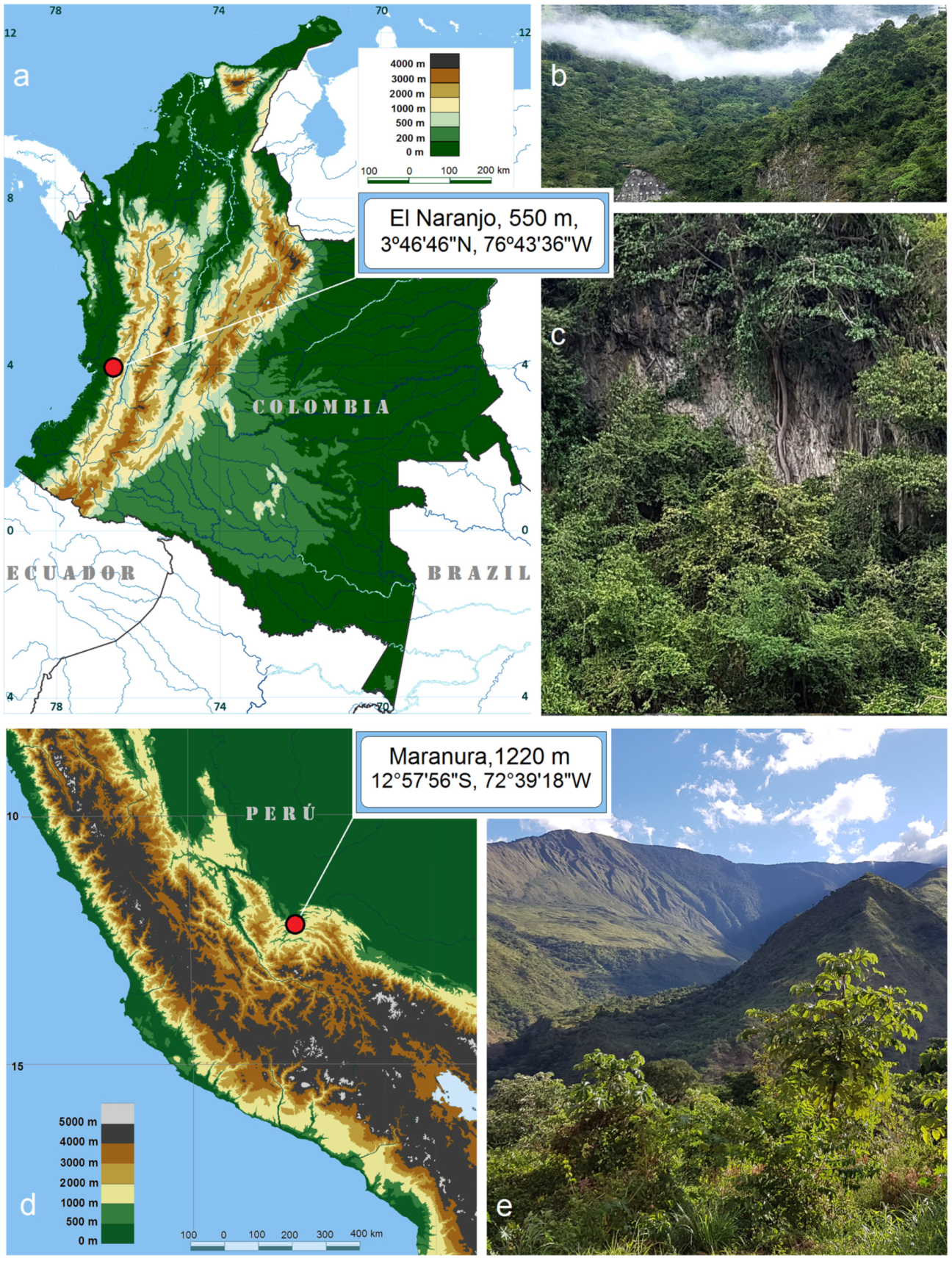 Insects 16 00964 g002