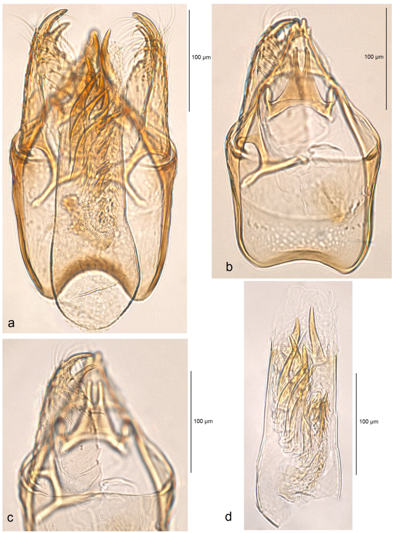 Insects 16 00964 g009