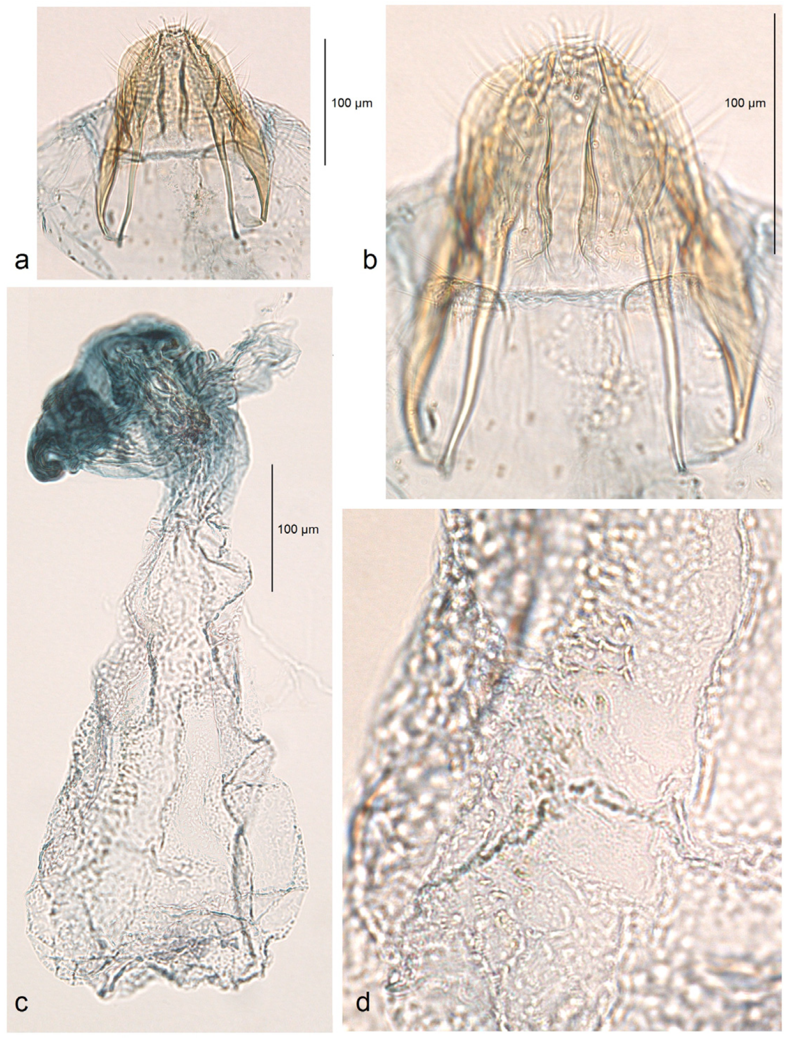 Insects 16 00964 g010