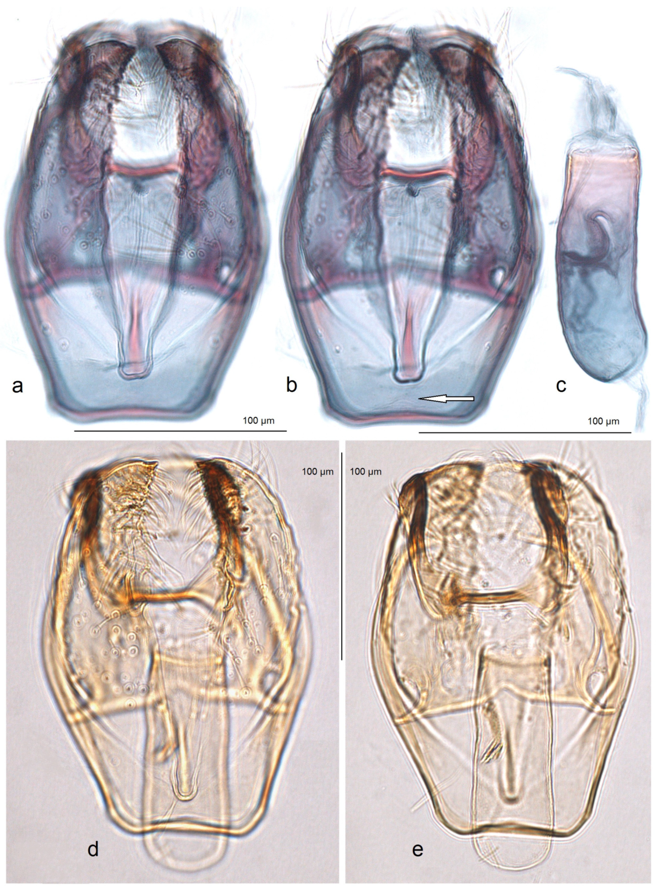 Insects 16 00964 g018