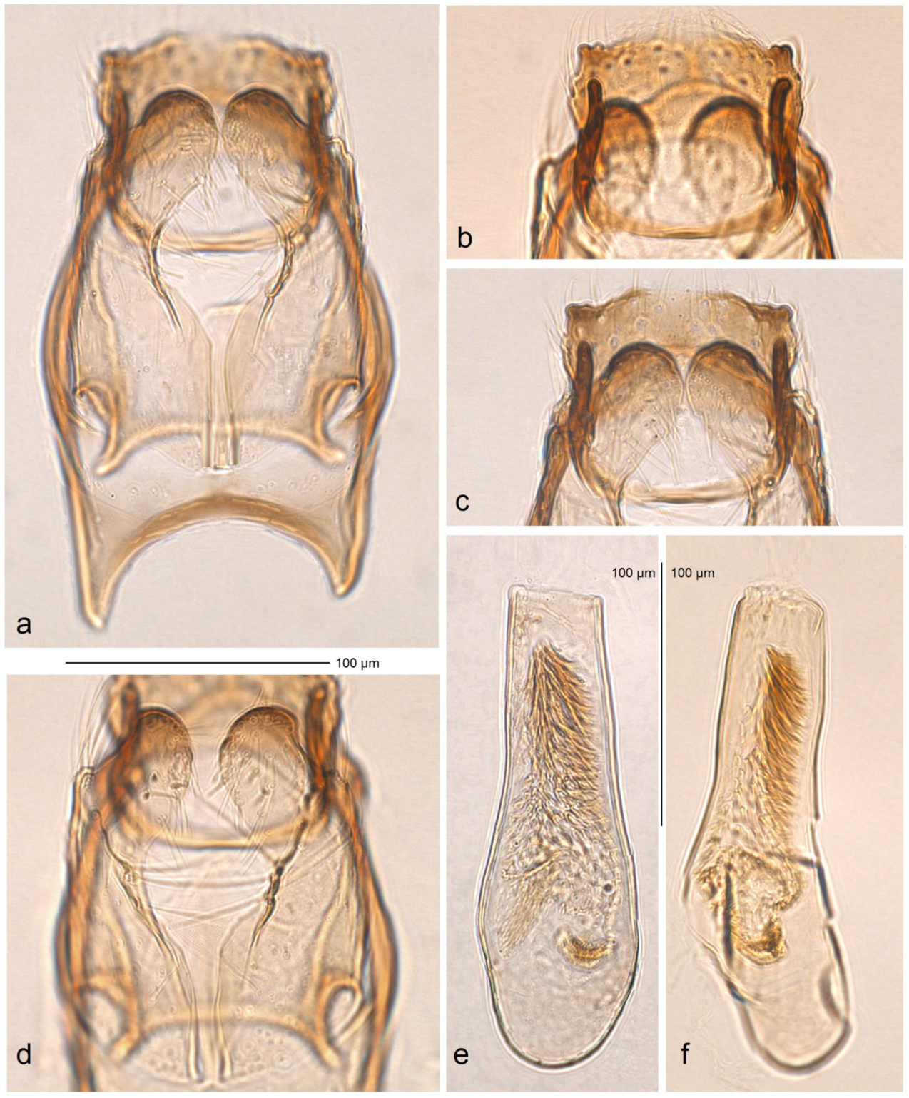 Insects 16 00964 g023