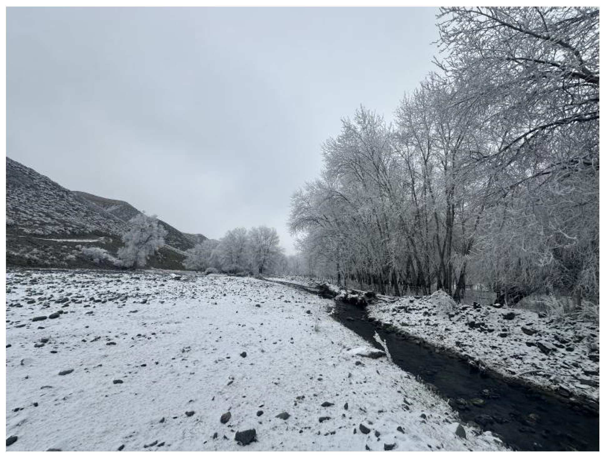 Insects 16 00965 g004 Insects 16 00965 g004