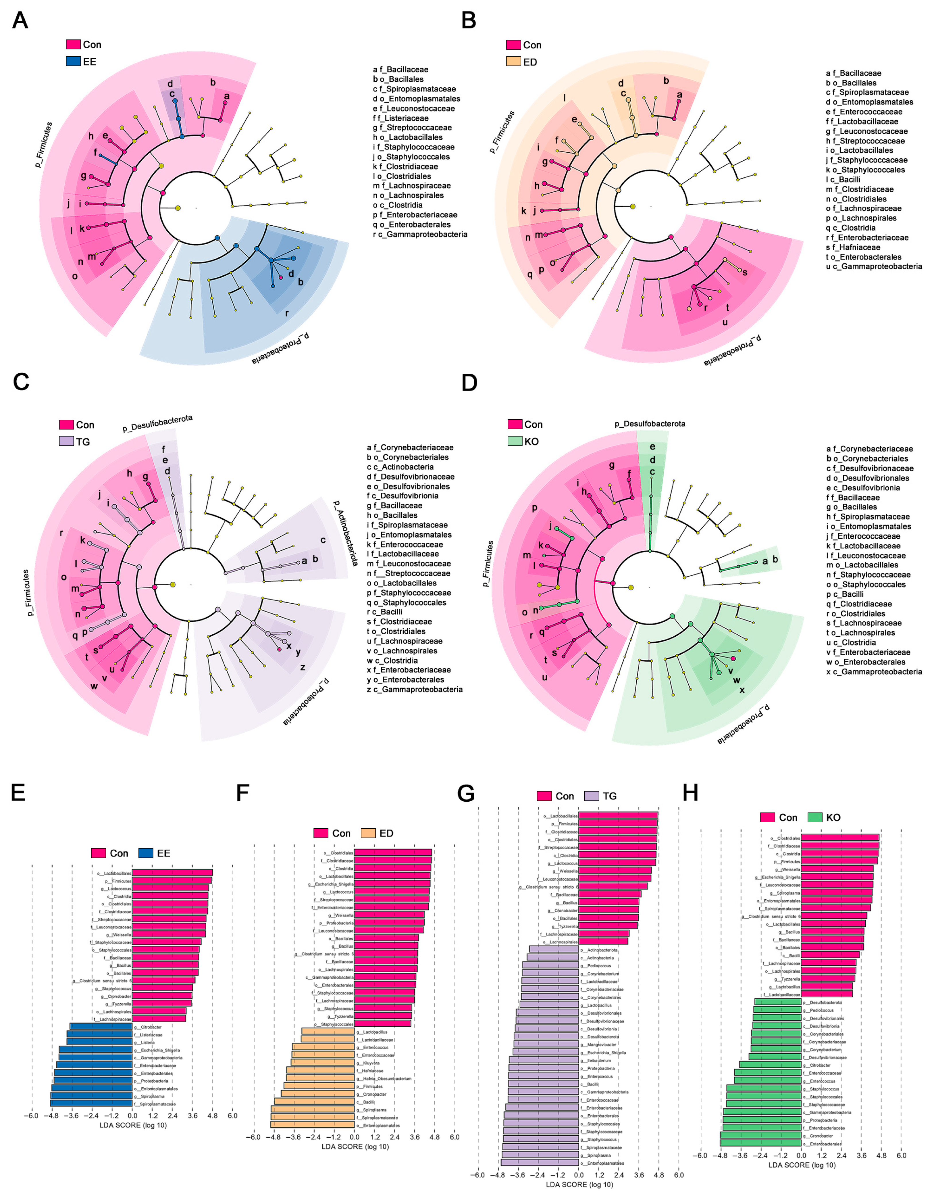Insects 16 00970 g006 Insects 16 00970 g006