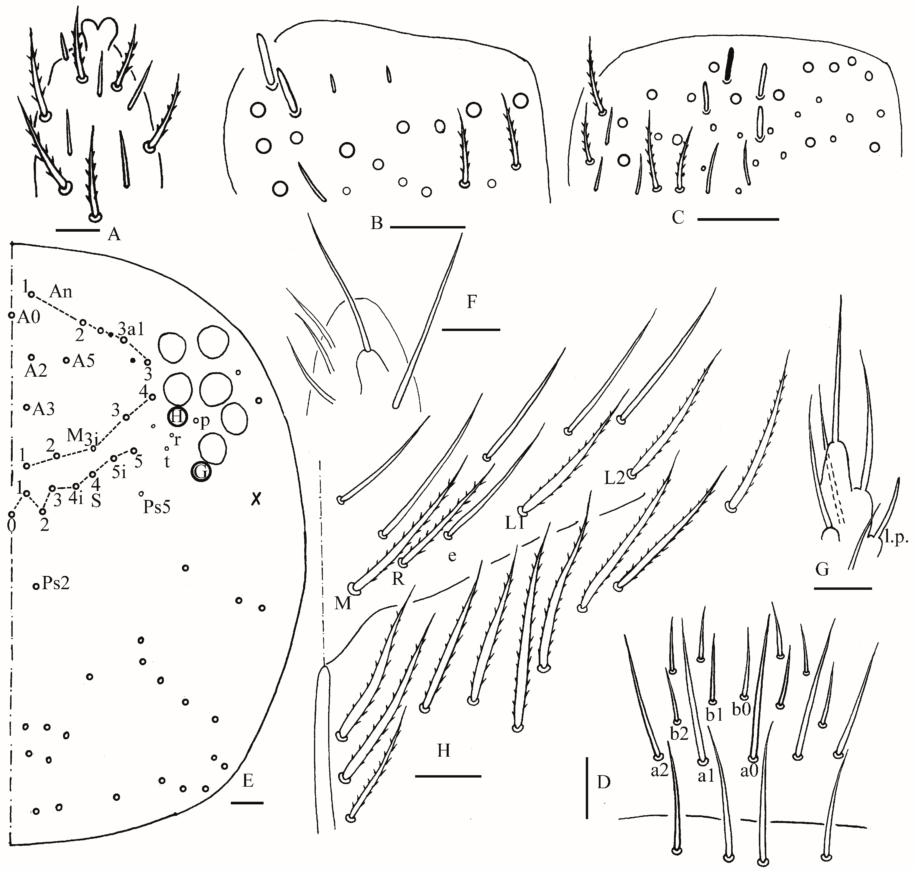 Insects 16 00974 g002