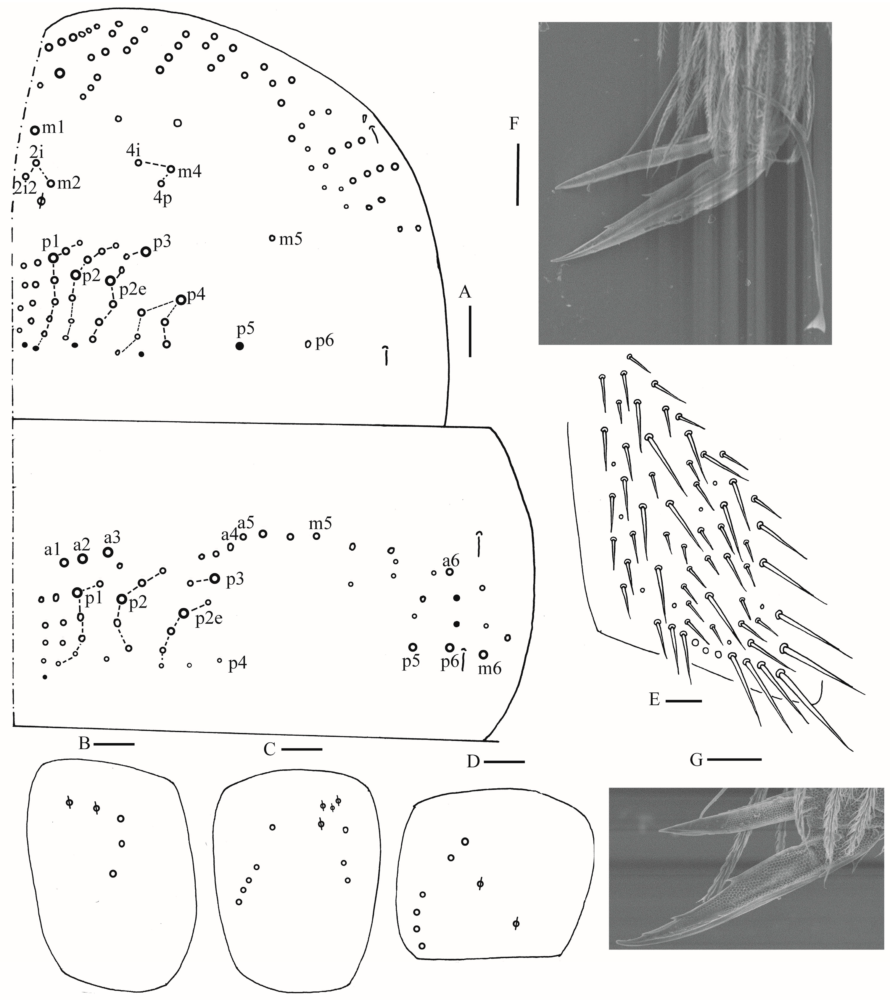 Insects 16 00974 g010