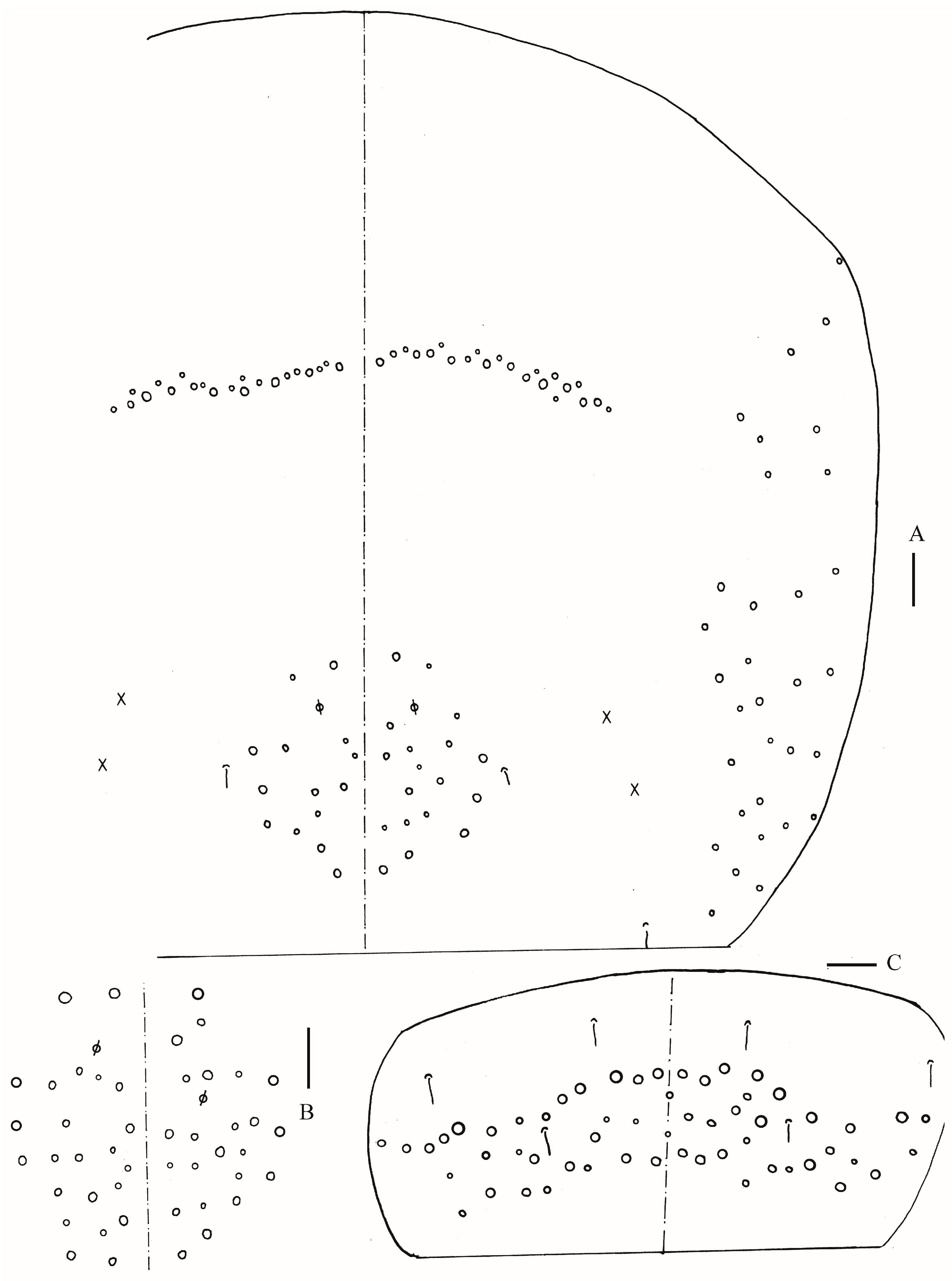 Insects 16 00974 g012