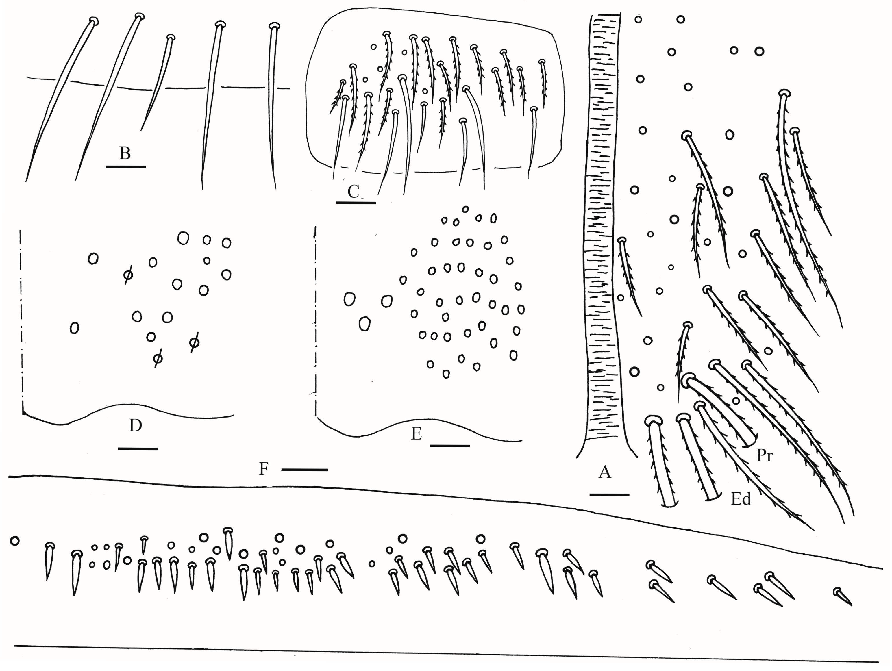 Insects 16 00974 g013