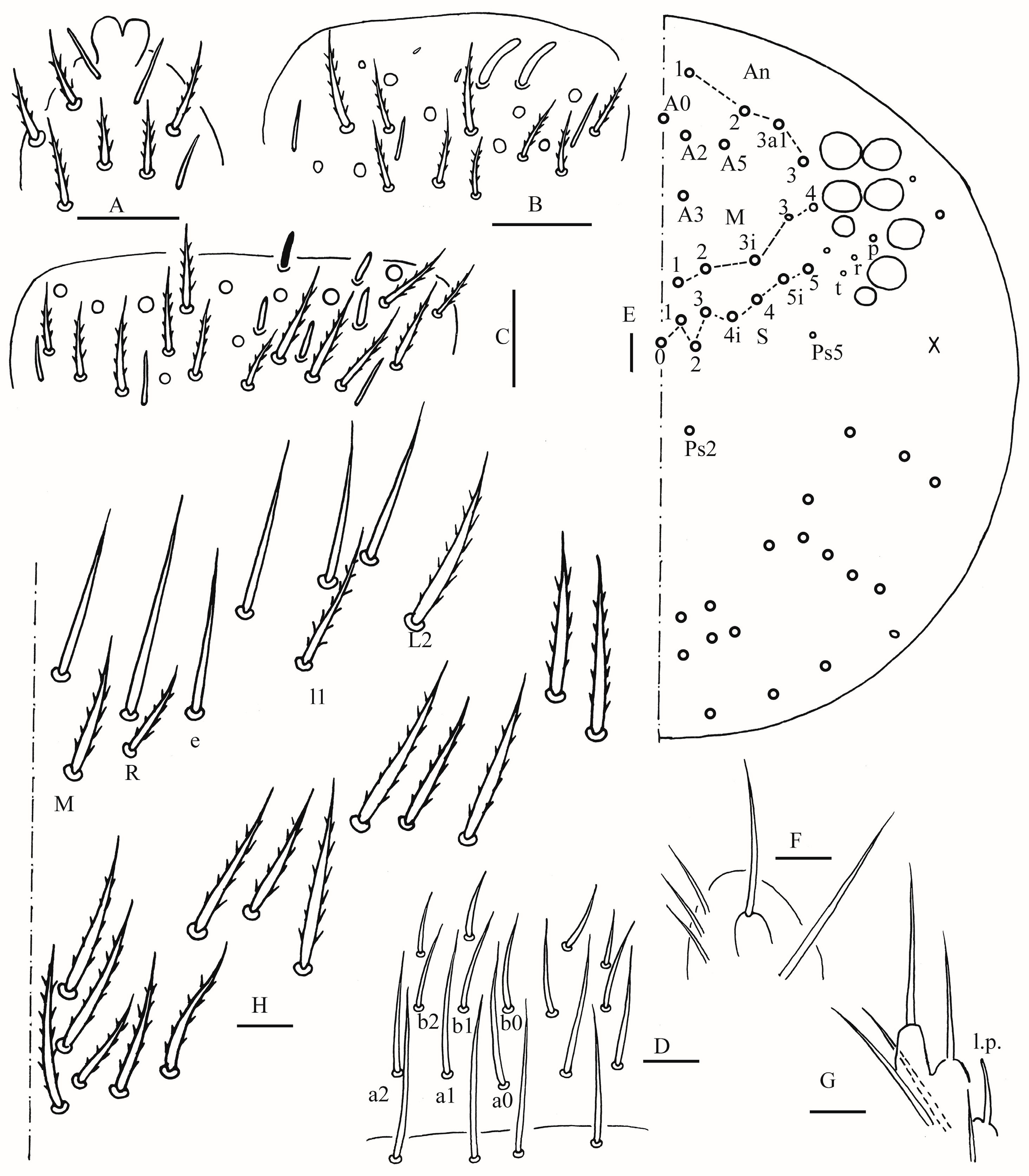 Insects 16 00974 g015