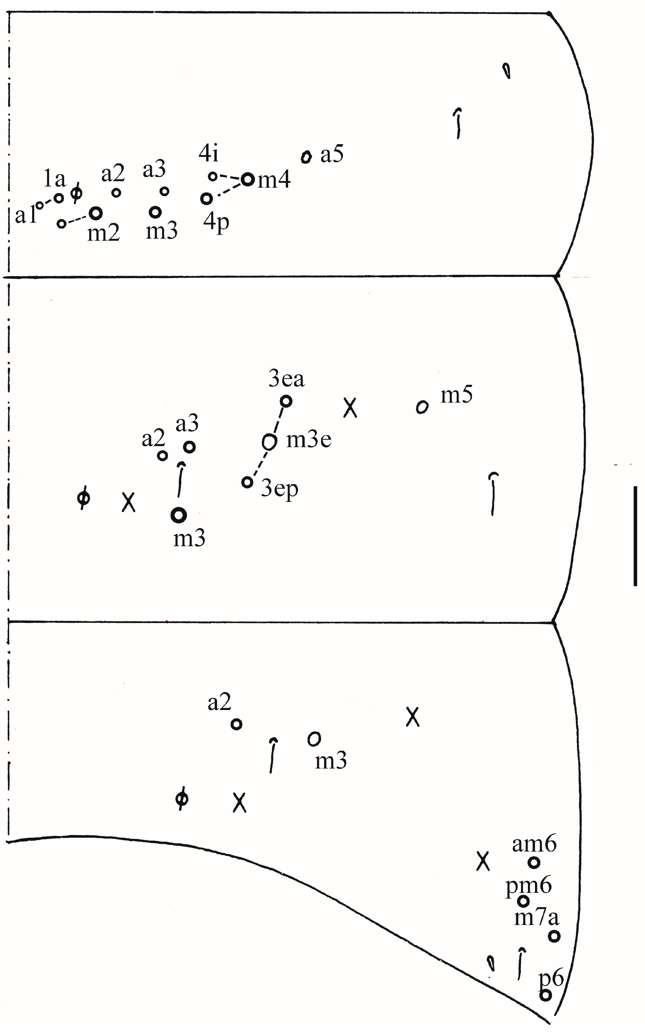 Insects 16 00974 g017