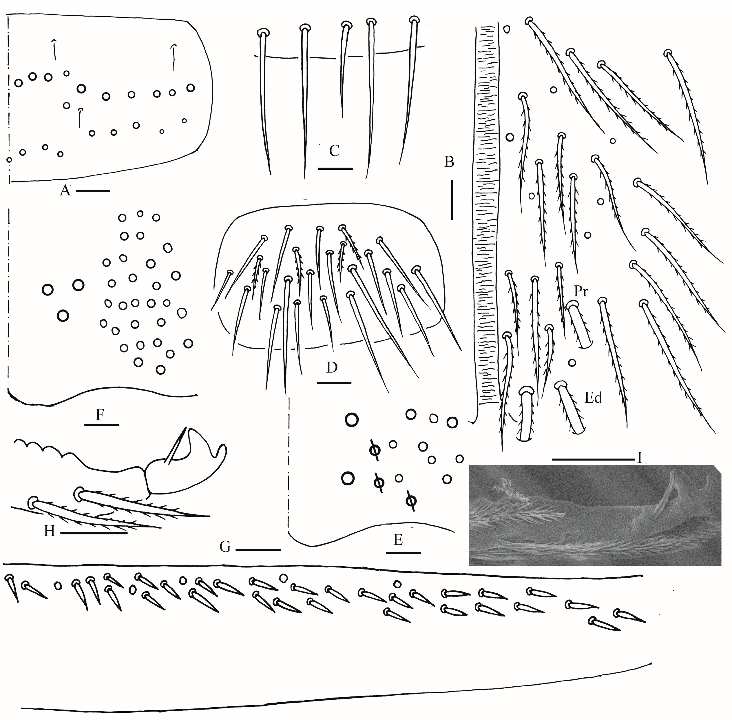 Insects 16 00974 g019
