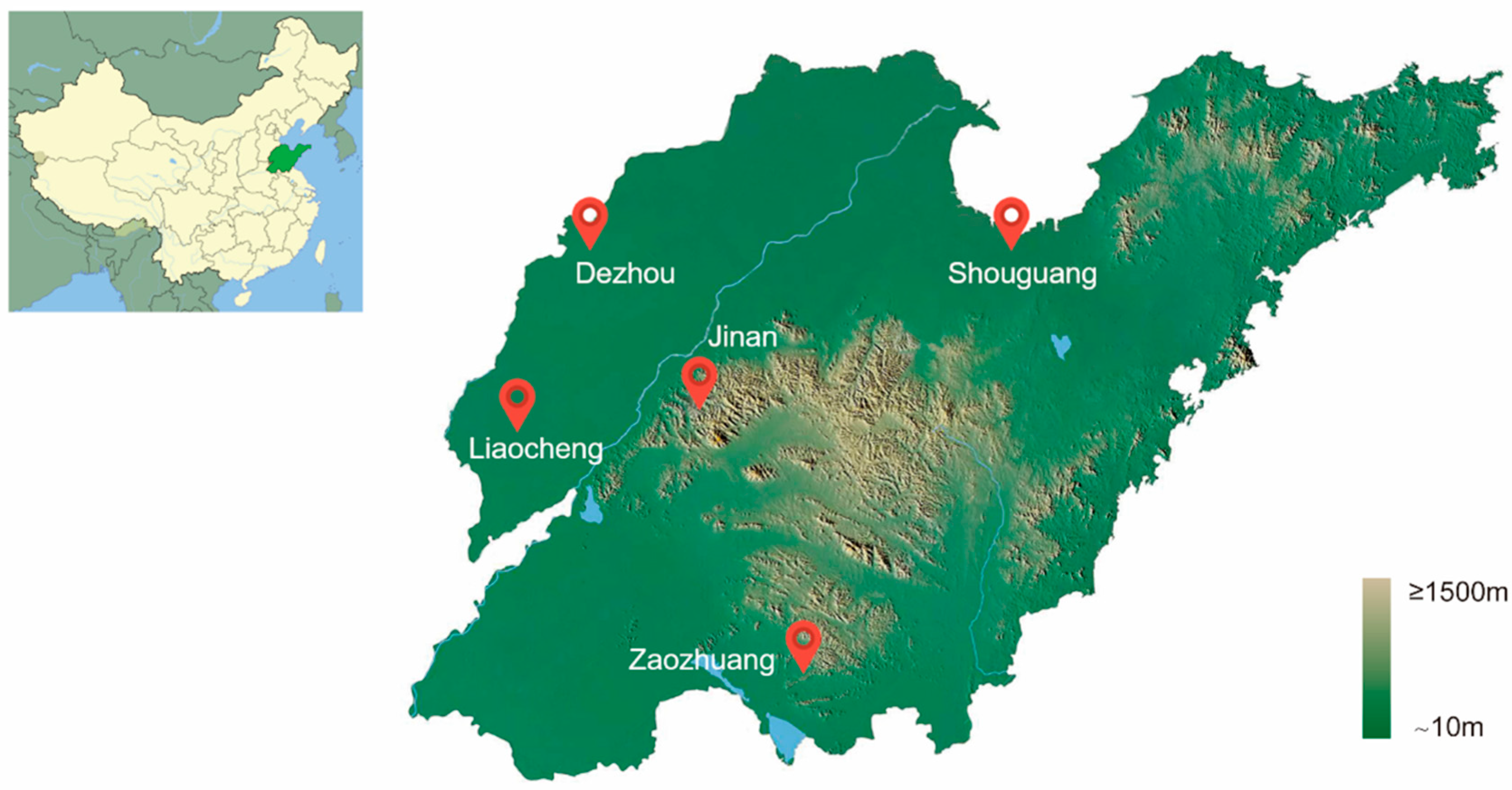 Insects 16 00975 g001 Insects 16 00975 g001