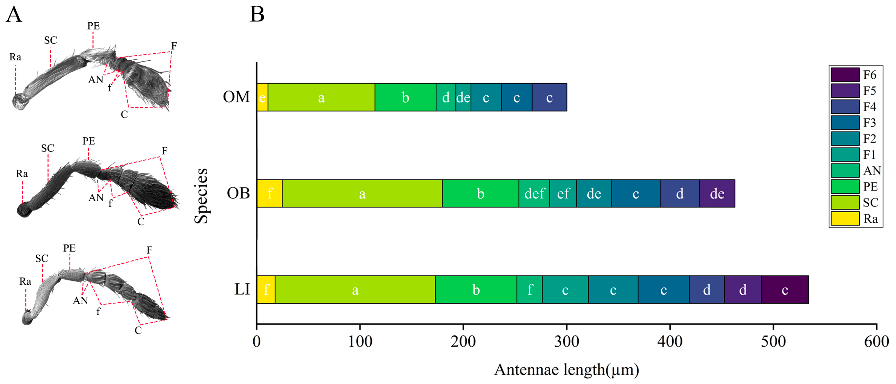 Insects 16 00976 g001