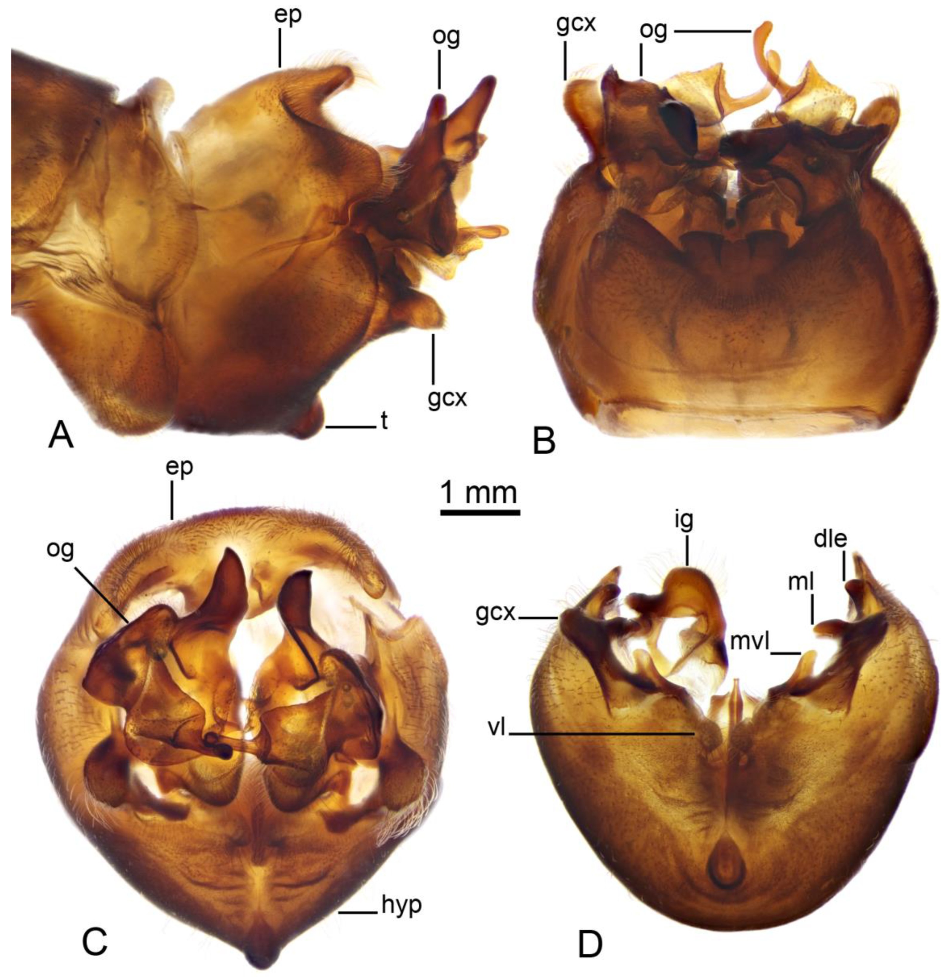 Insects 16 00978 g003