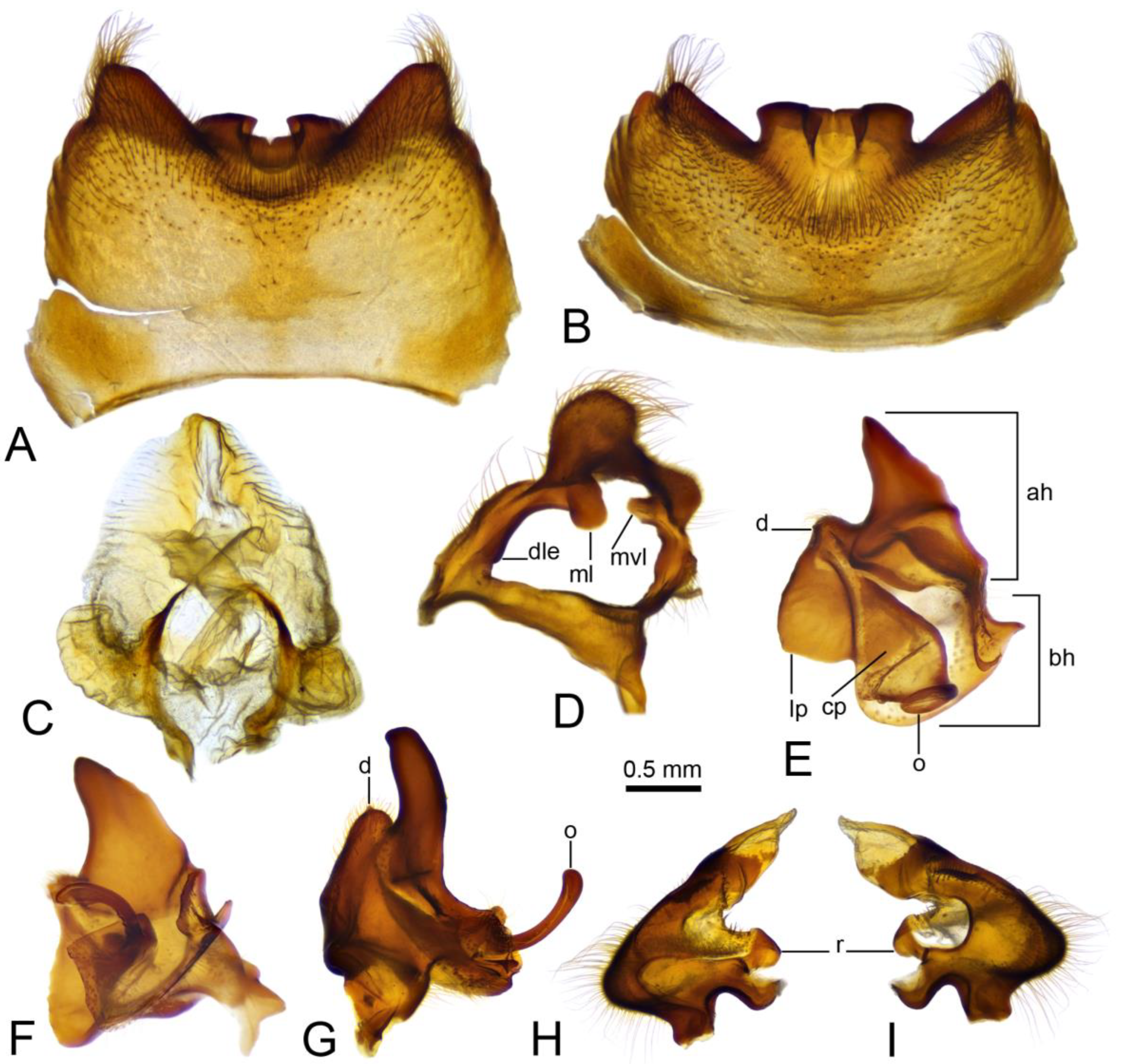 Insects 16 00978 g004