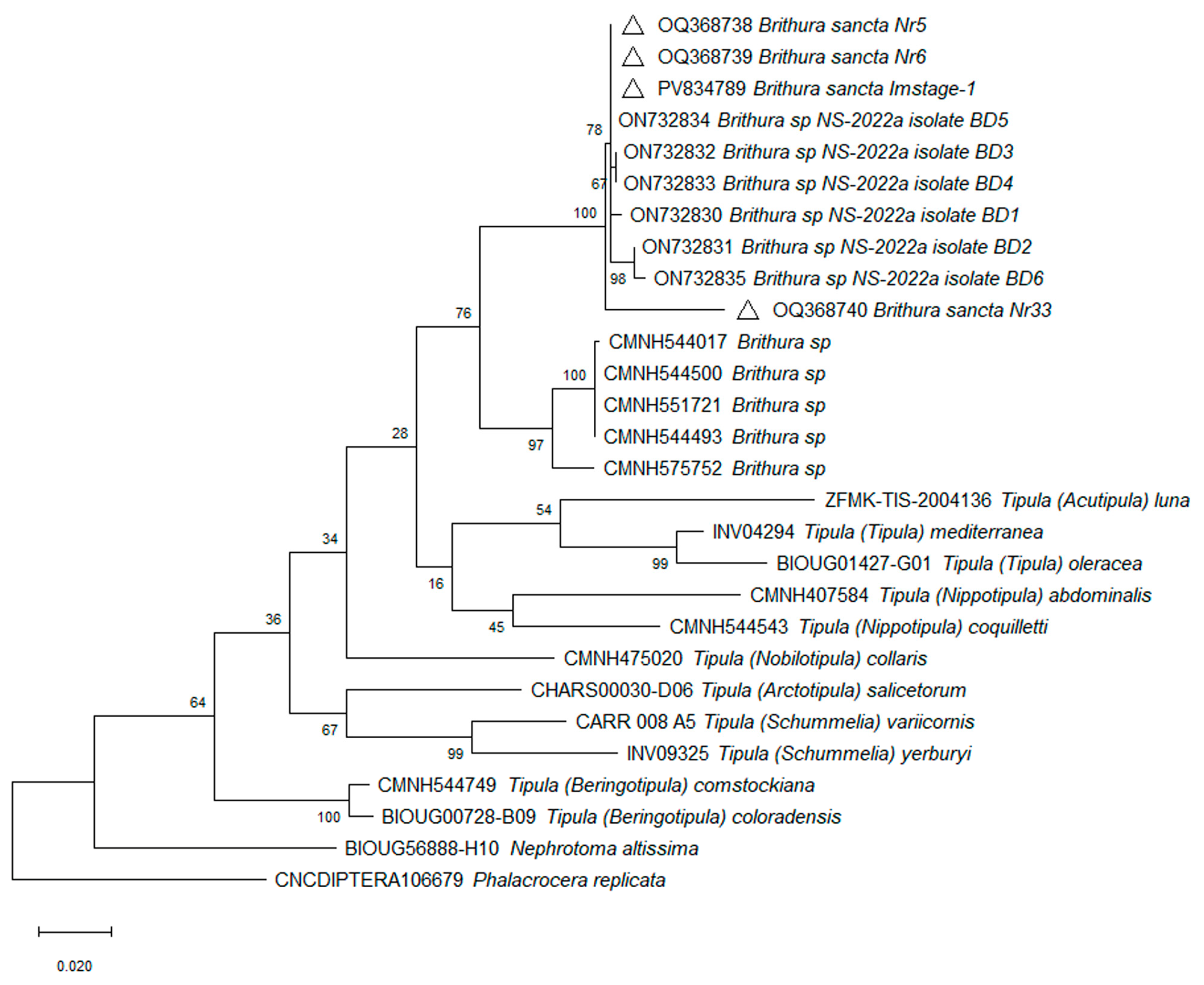 Insects 16 00978 g013