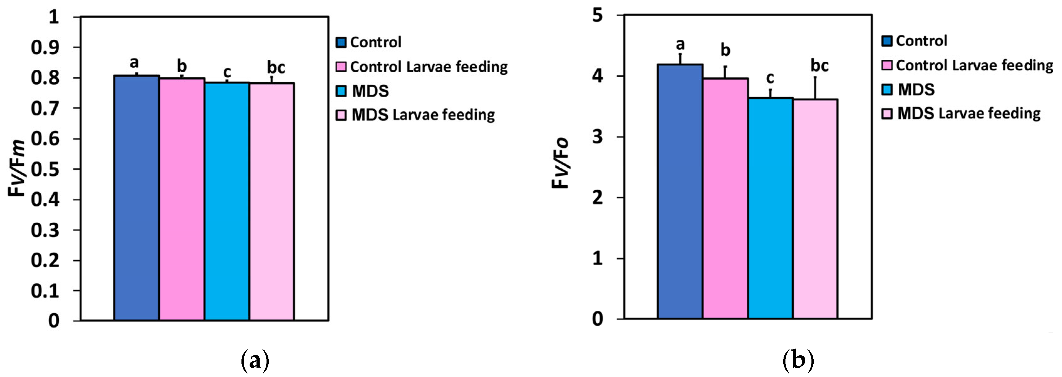 Insects 16 00984 g001 Insects 16 00984 g001