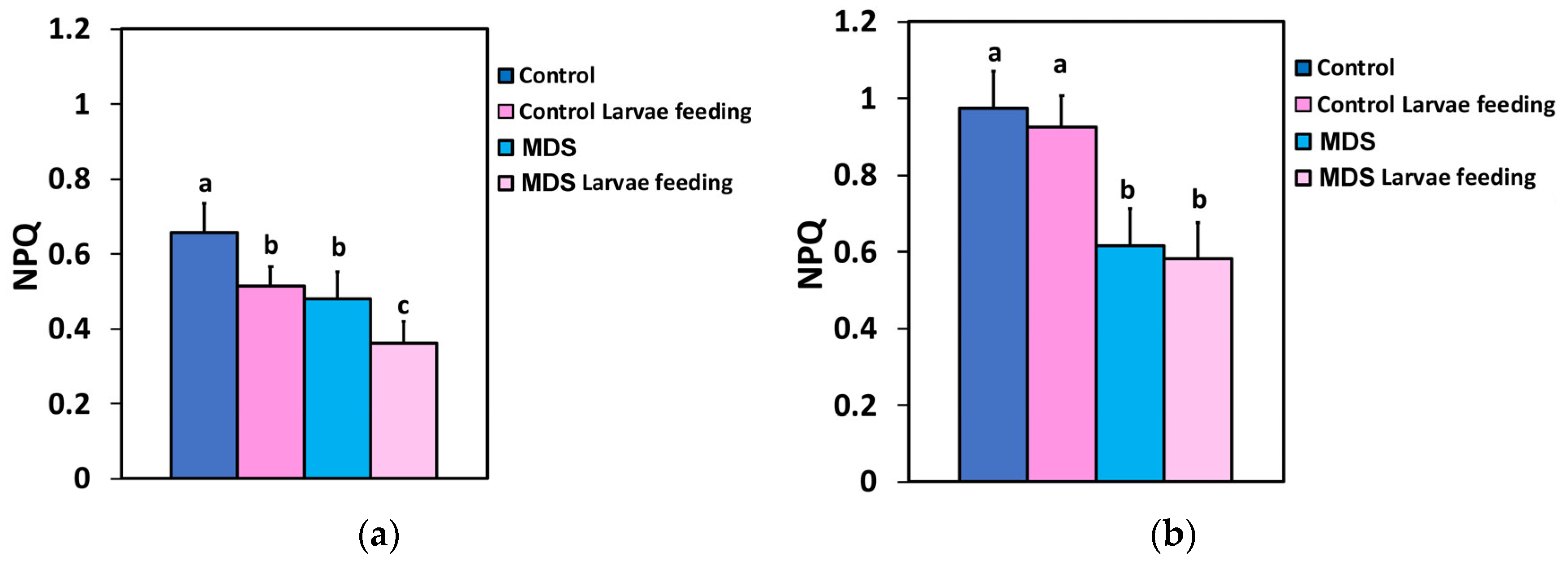 Insects 16 00984 g006 Insects 16 00984 g006