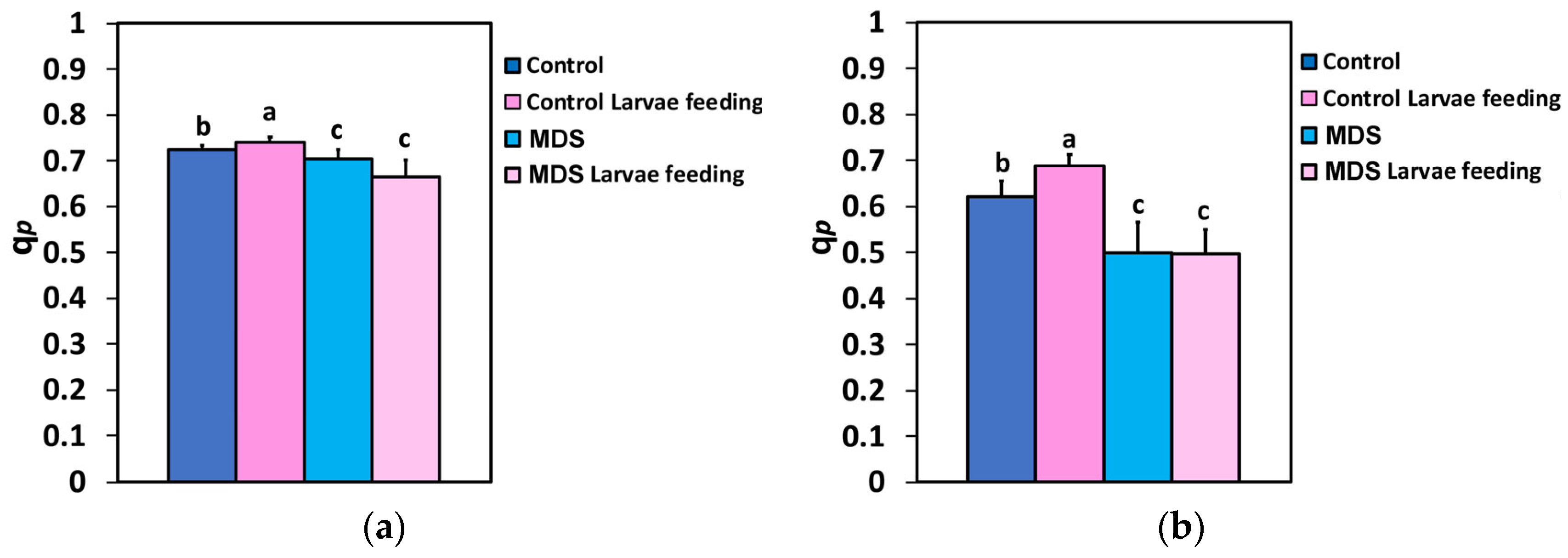 Insects 16 00984 g007 Insects 16 00984 g007