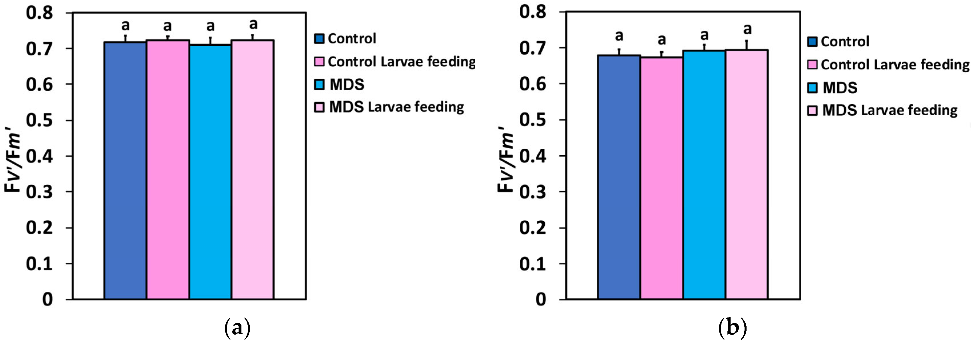 Insects 16 00984 g008 Insects 16 00984 g008