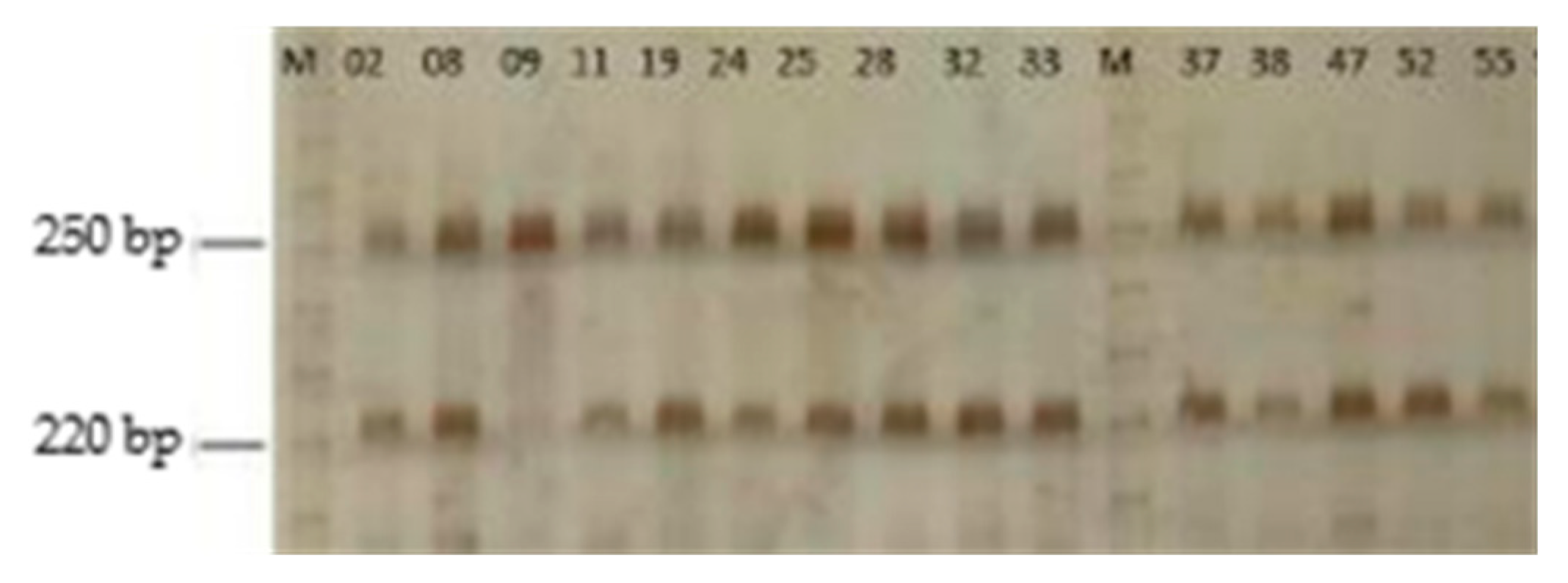 Insects 16 00996 g005 Insects 16 00996 g005