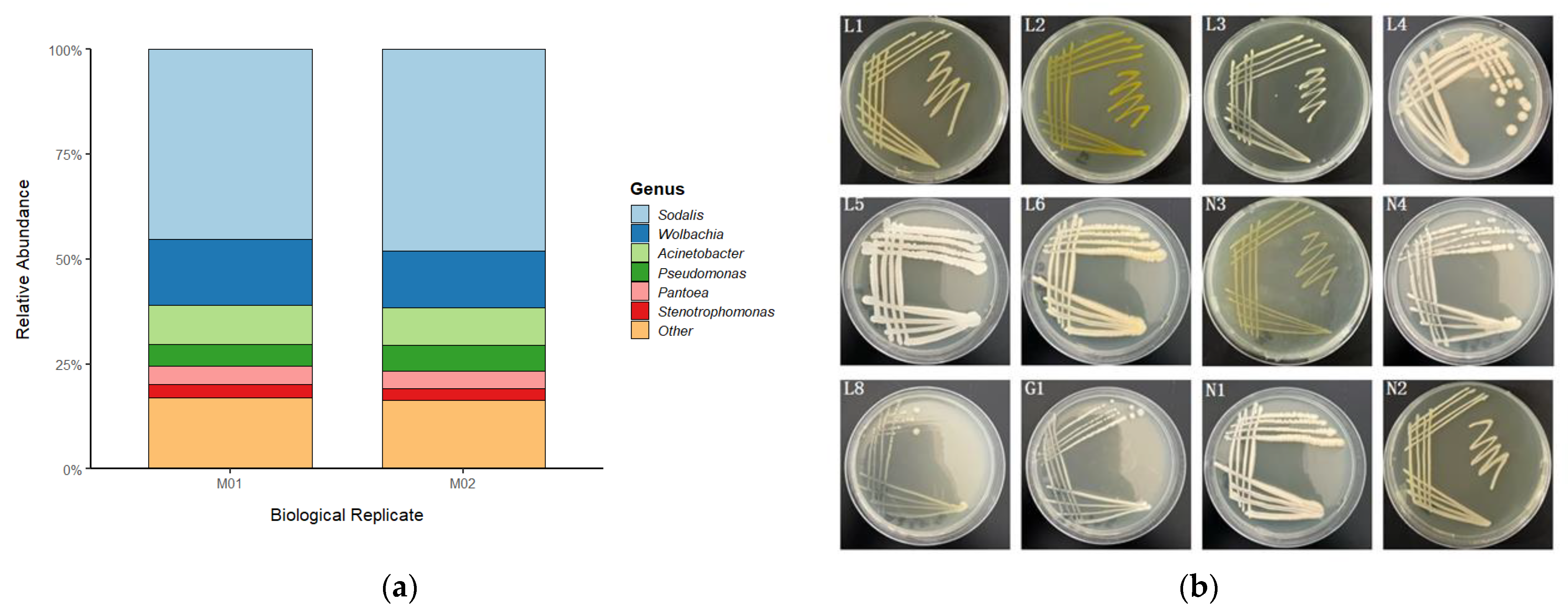 Insects 16 00999 g002