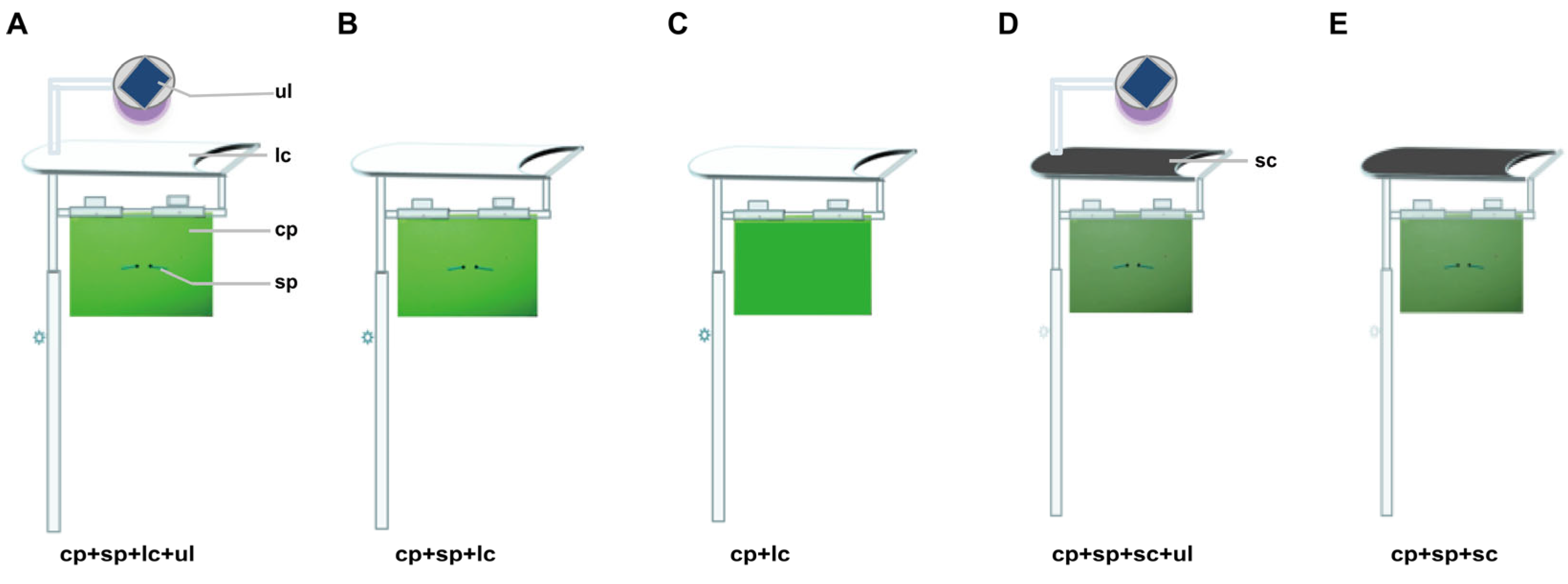 Insects 16 01001 g001 Insects 16 01001 g001