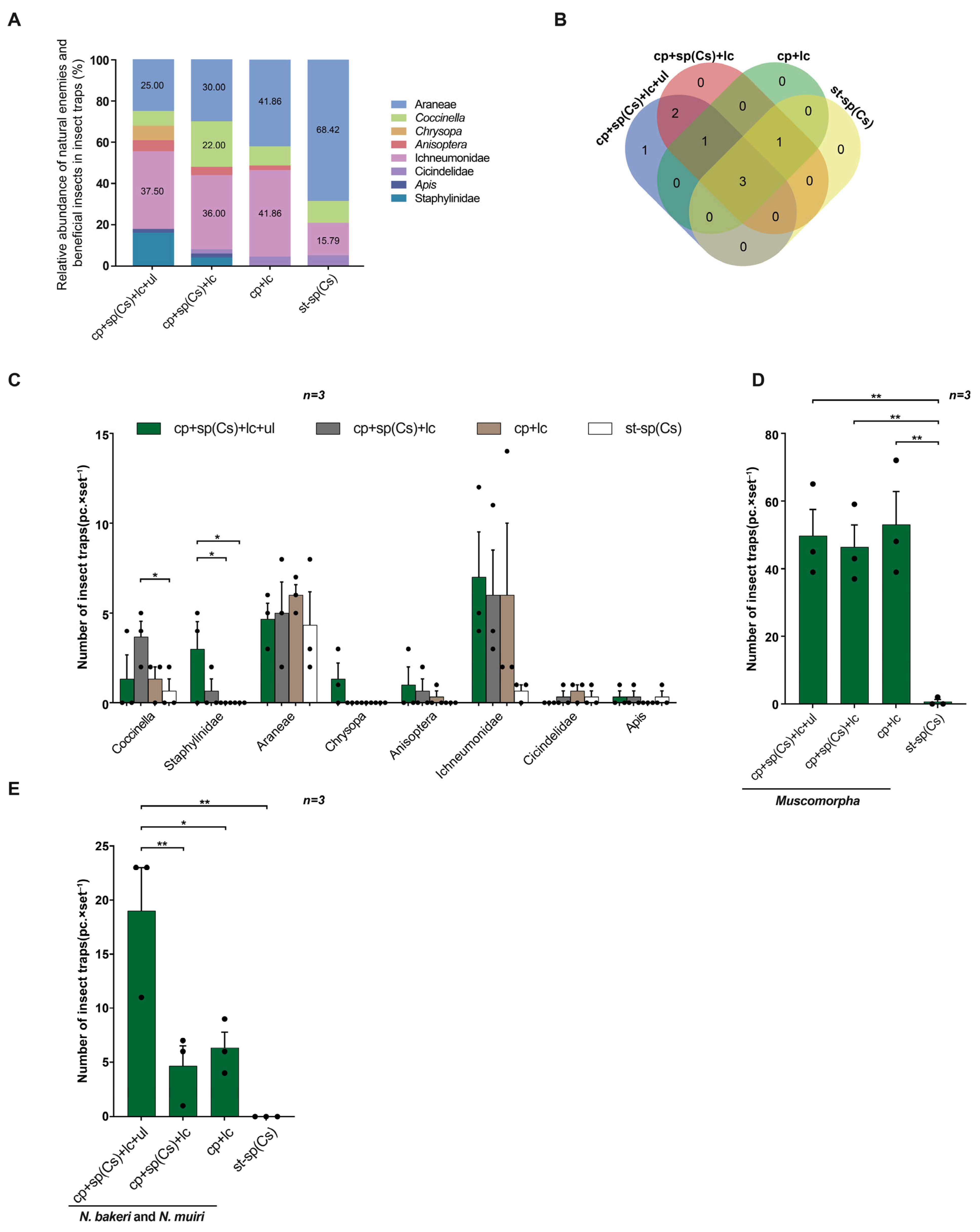 Insects 16 01001 g008 Insects 16 01001 g008