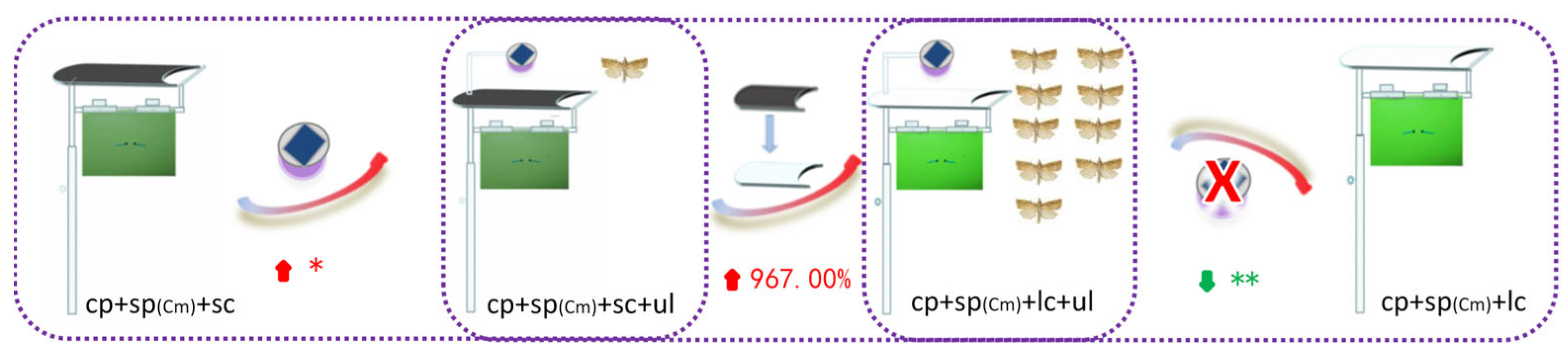 Insects 16 01001 g017 Insects 16 01001 g017